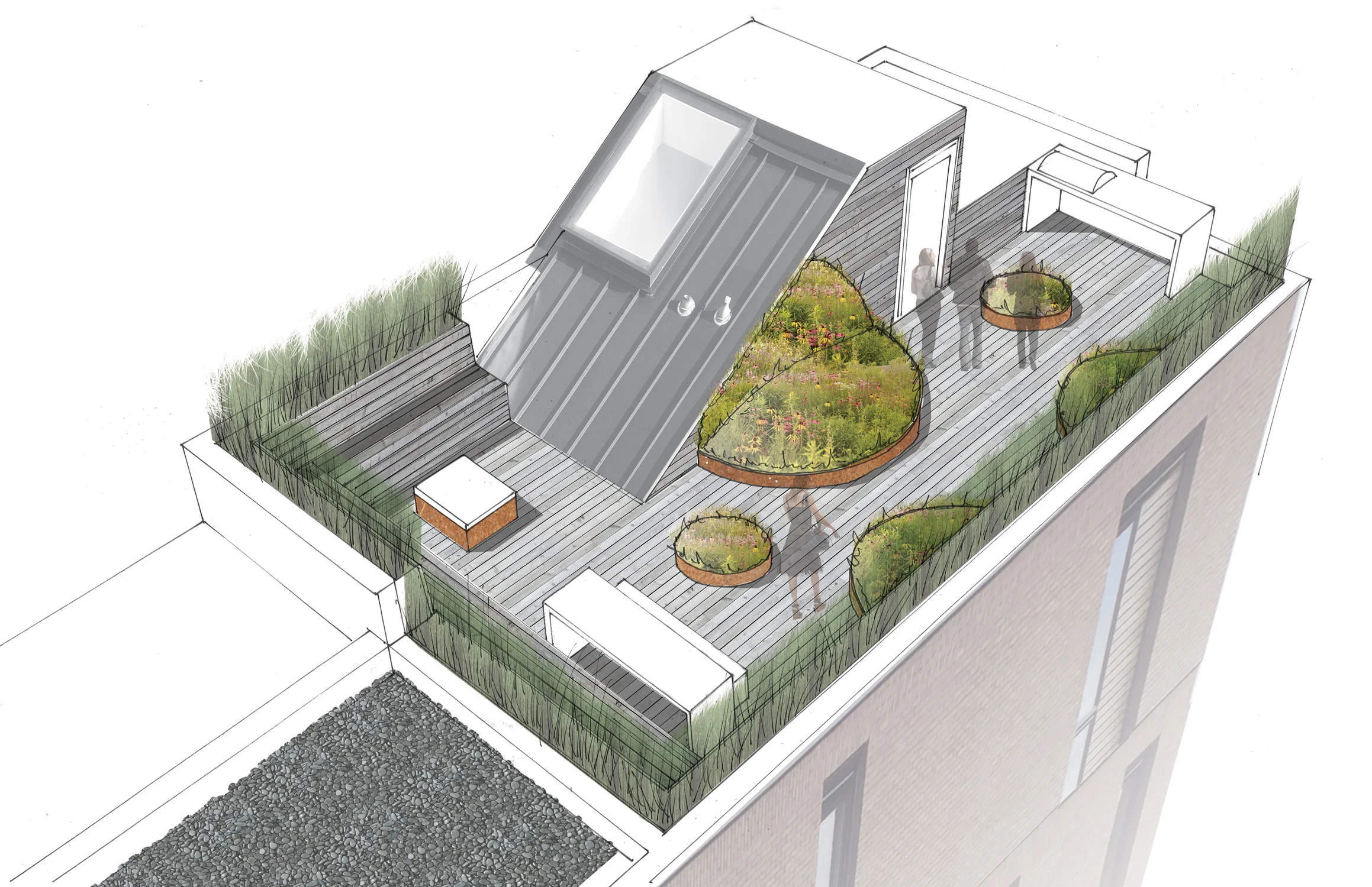 LOCH COLLECTIVE_LANDSCAPE ARCHITECTURE__BLAGDEN ROOF DITTO RESIDENTIAL_05.jpg