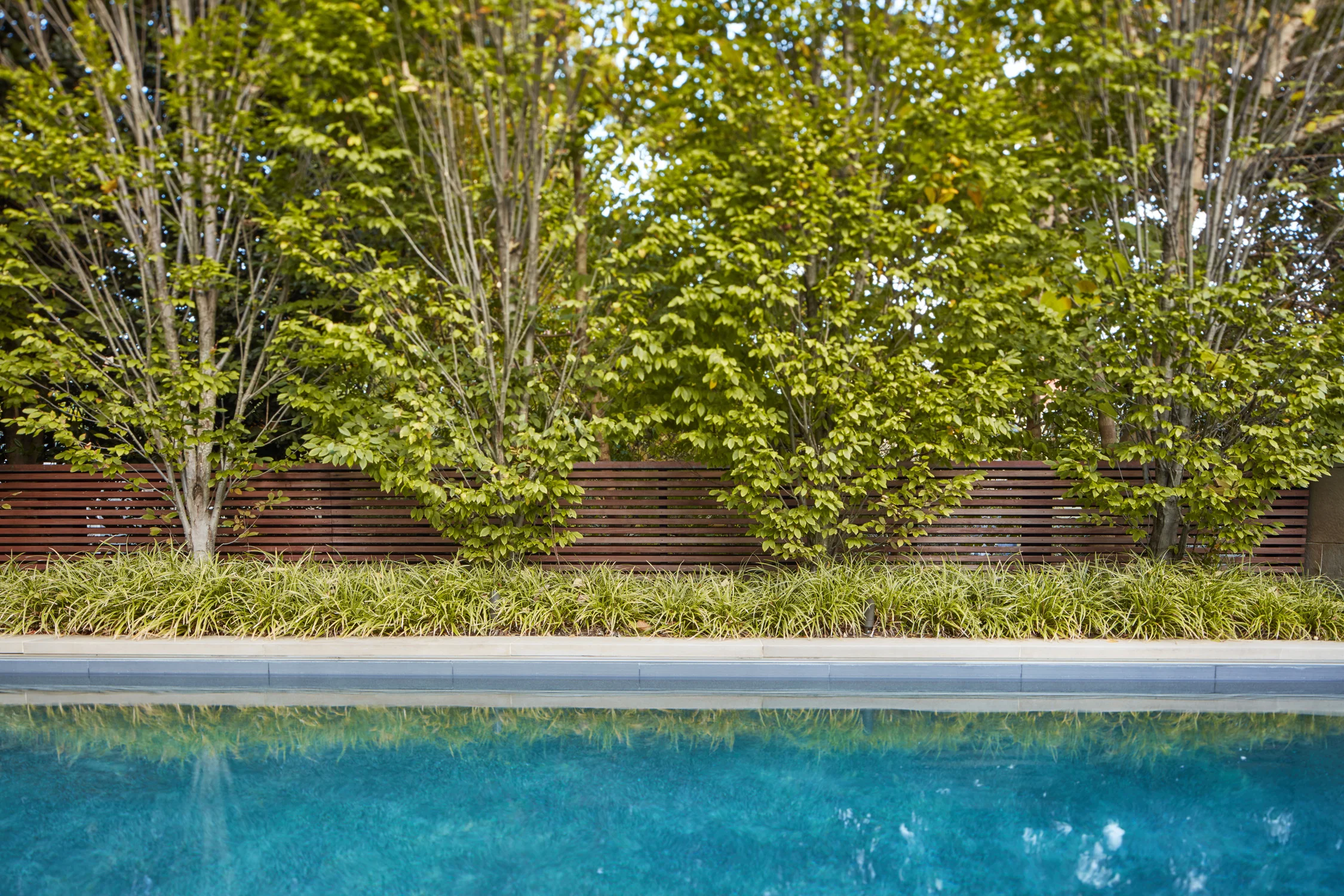 LOCH COLLECTIVE_LANDSCAPE ARCHITECTURE__GLASS ROBERT GURNEY_06.jpg