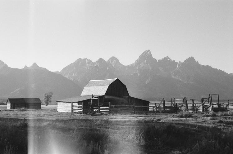 bwfilm8.jpeg