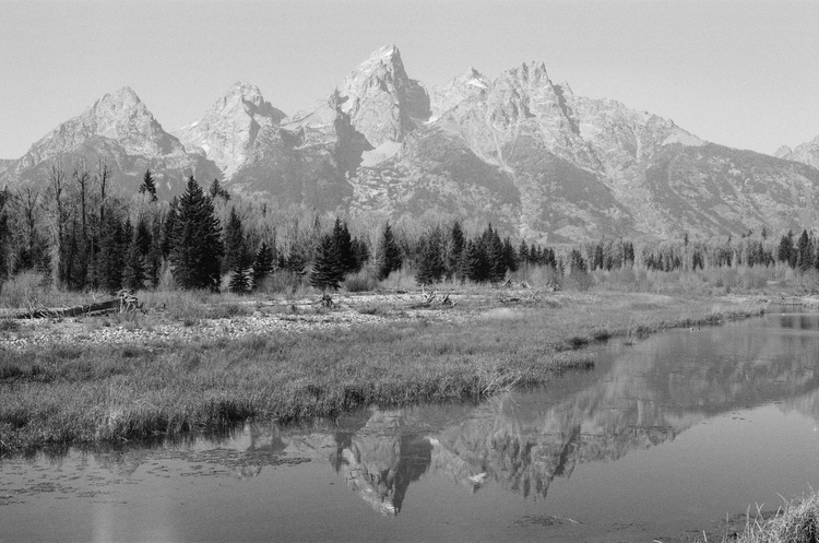 bwfilm6.jpeg