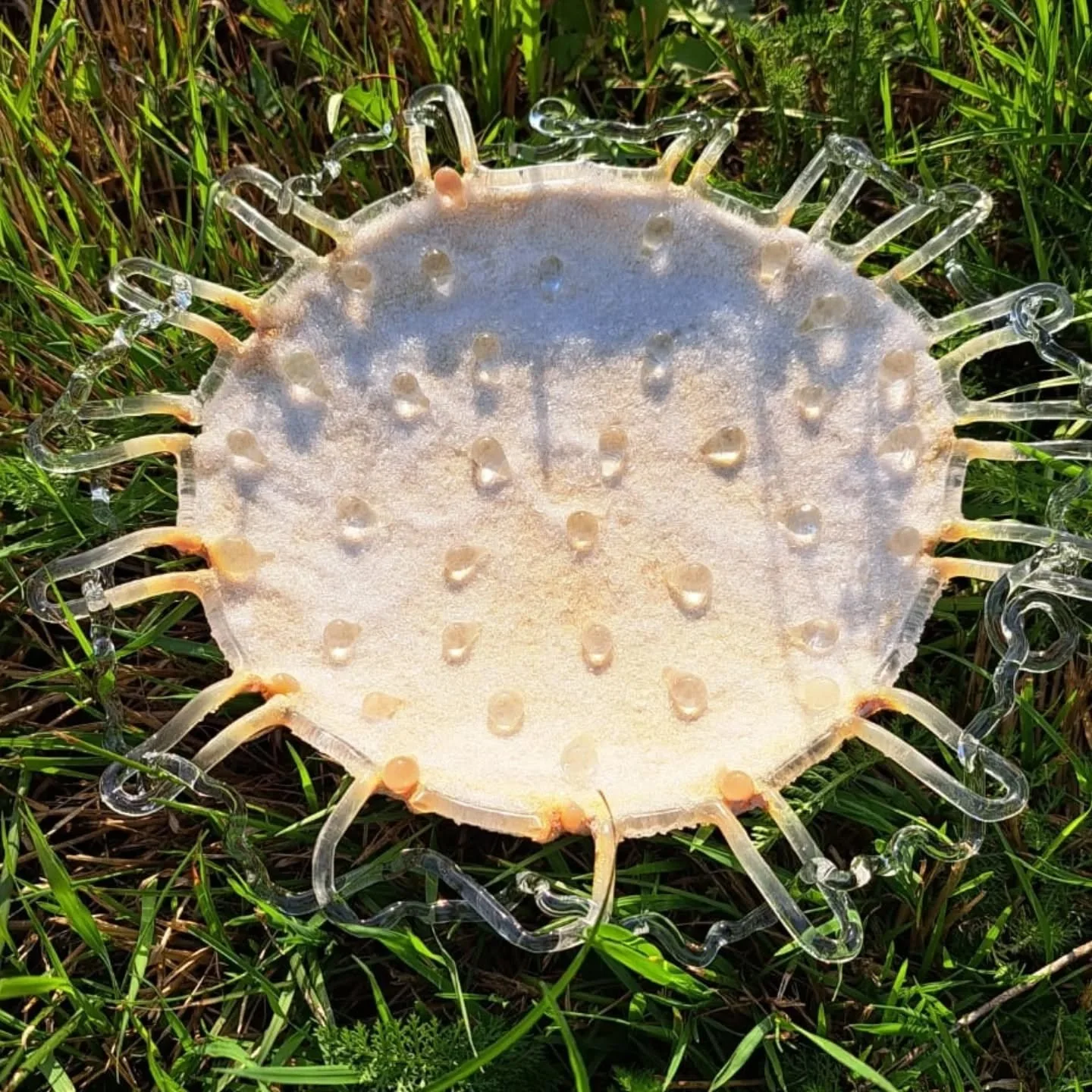 🪡🎀🧵
glass dish with frayed edge, &Oslash;25 cm
#glass #flameworking #fusedglass #glassofinstagram