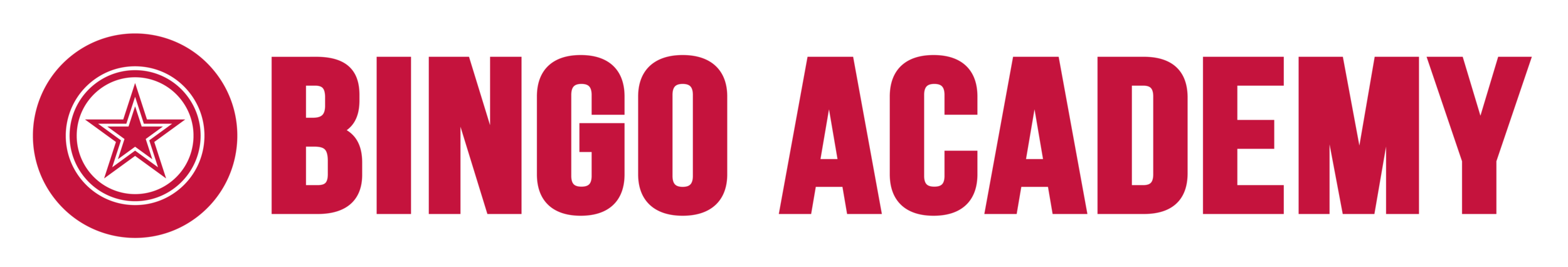 Bingo Academy logo sar ball + text wide.png