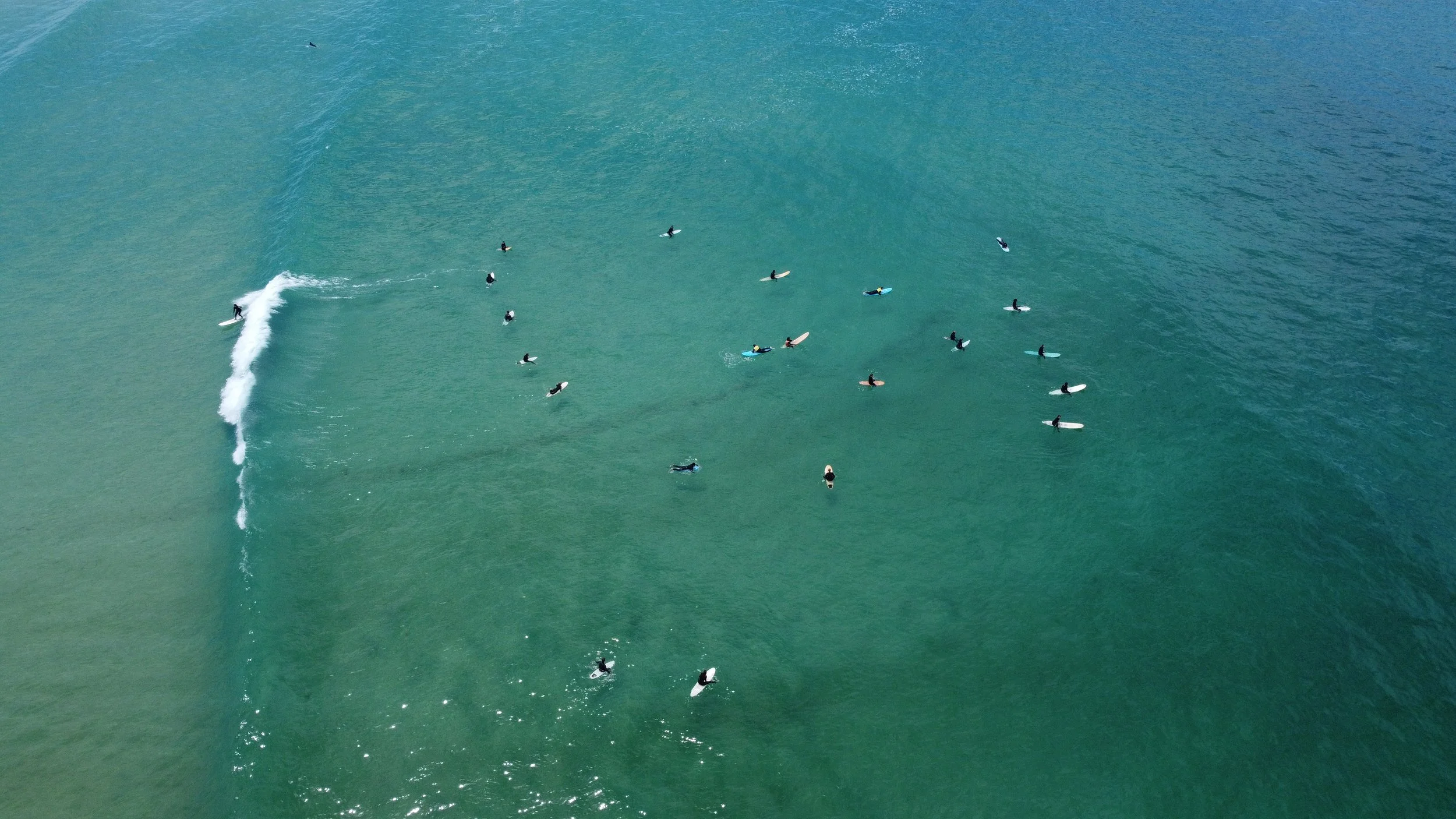 DJI_0487.JPG