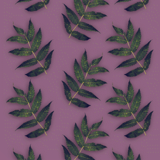 TiledLeaf3_320x320_2.gif