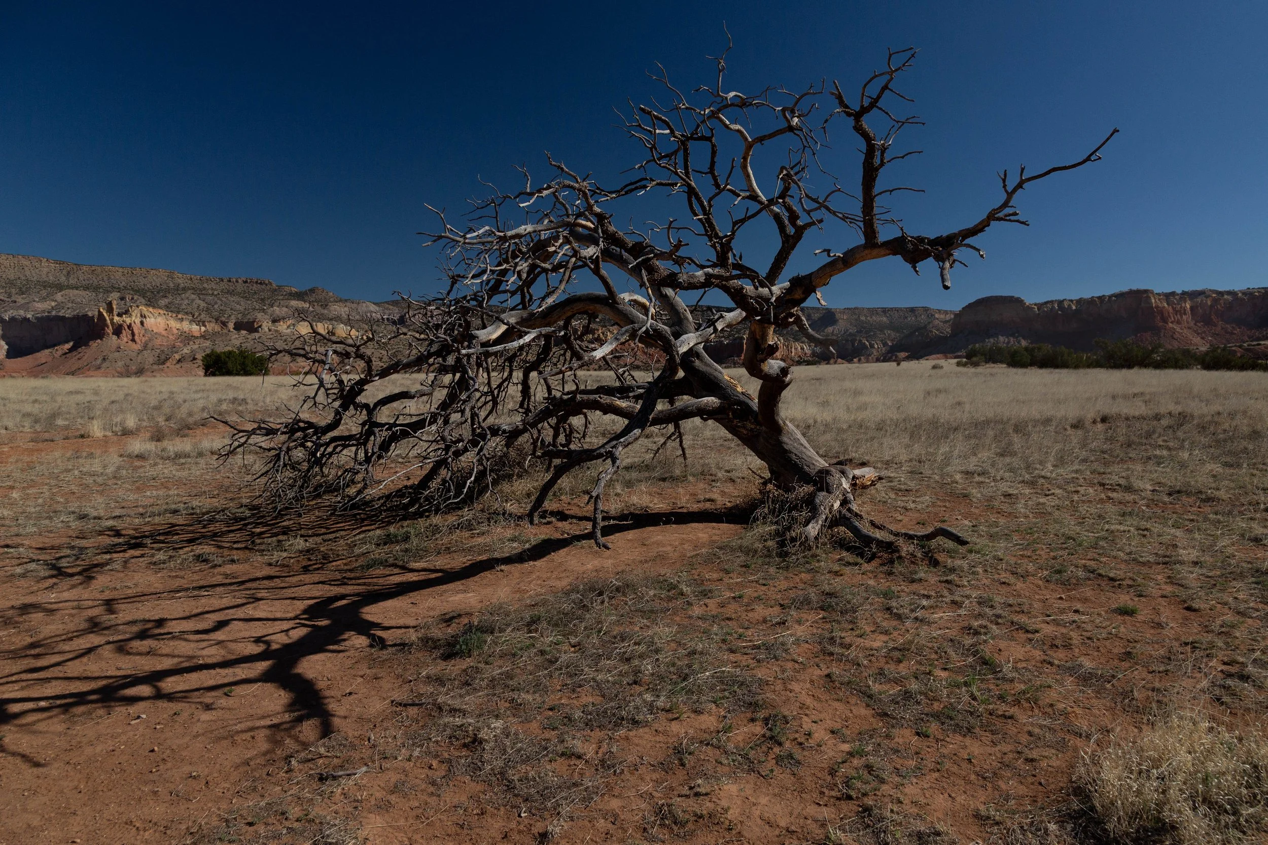 _G9A3840-Edit.jpg