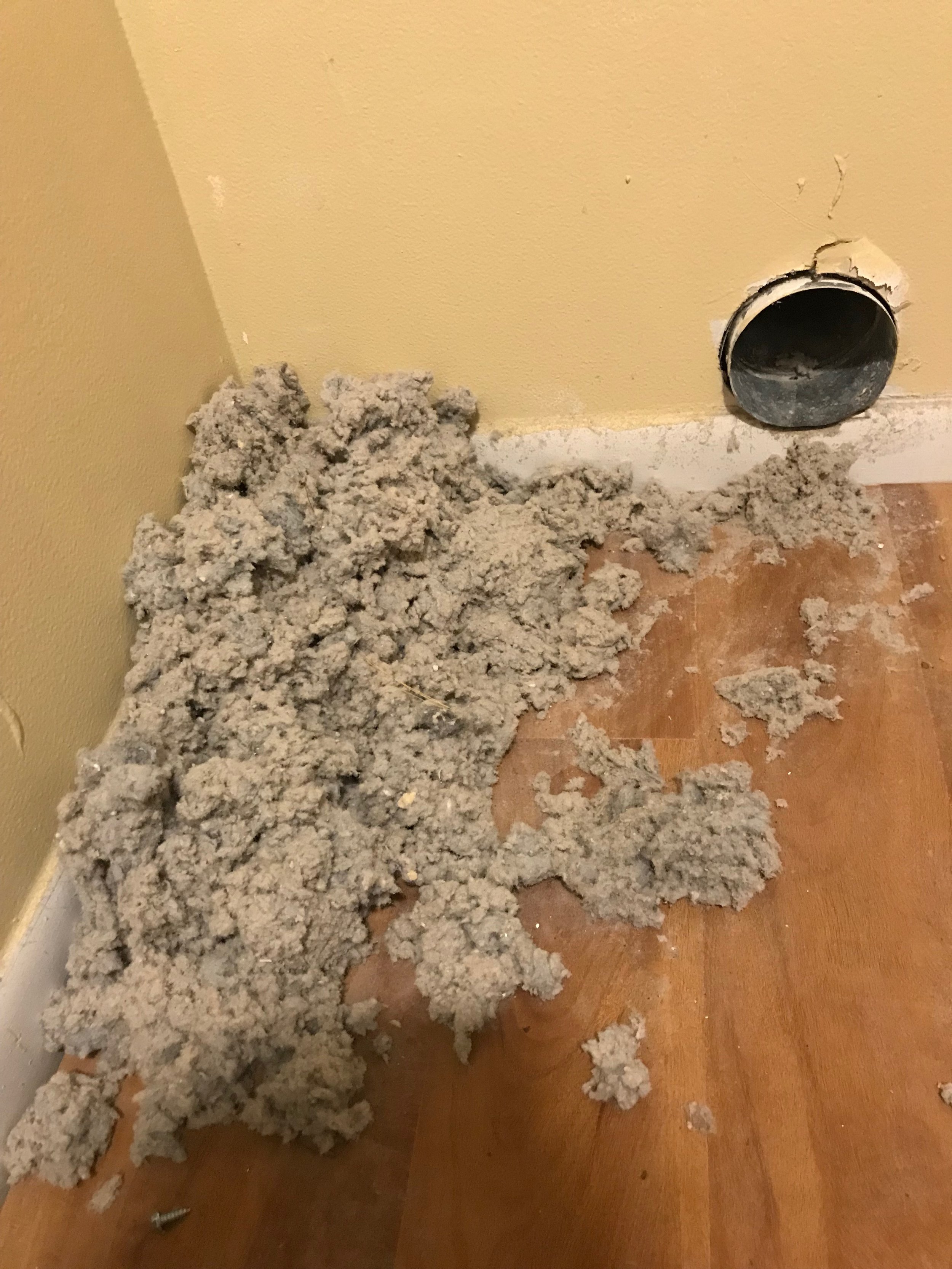 dryer vent cleaning