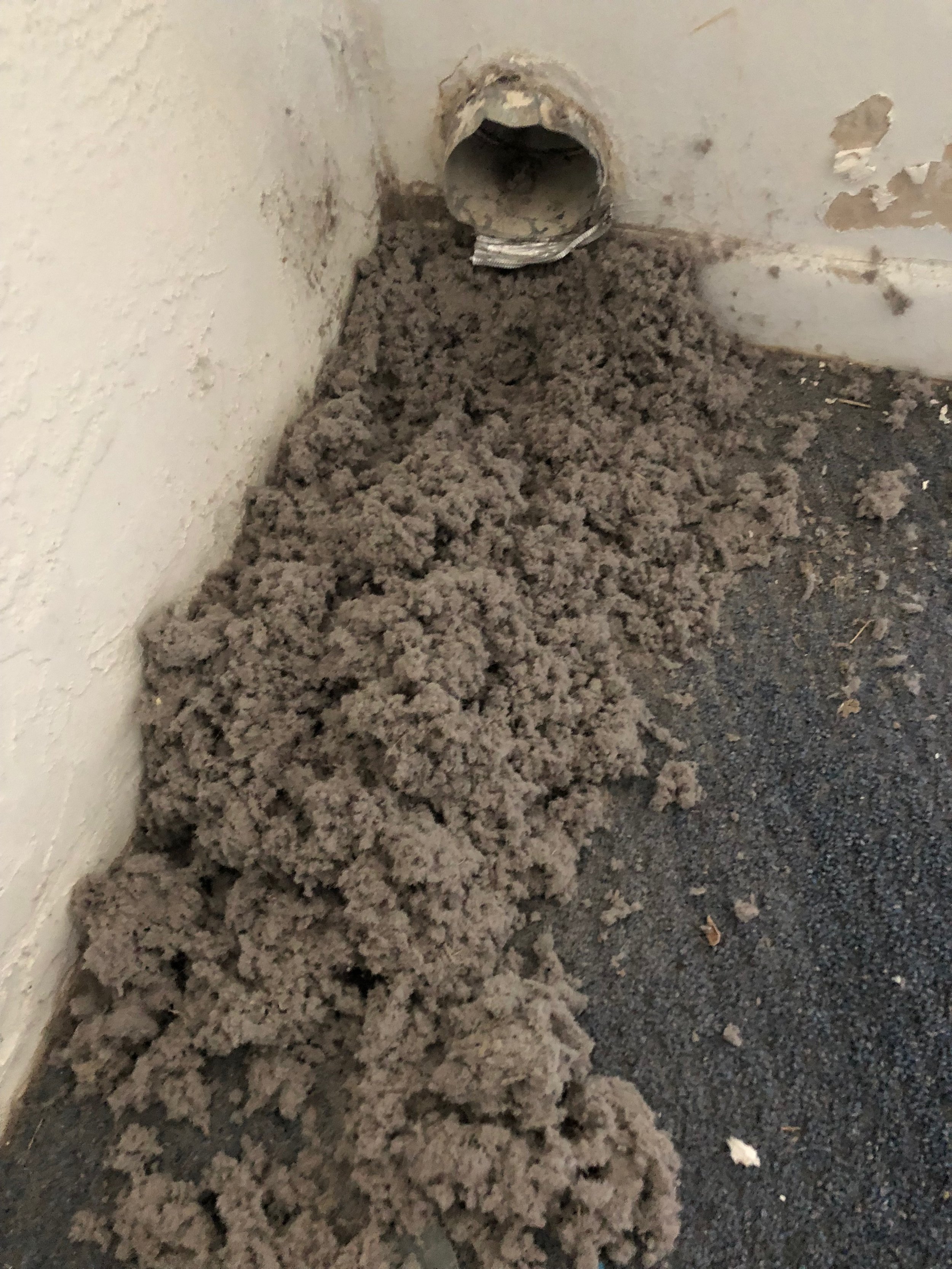 dryer vent cleaning