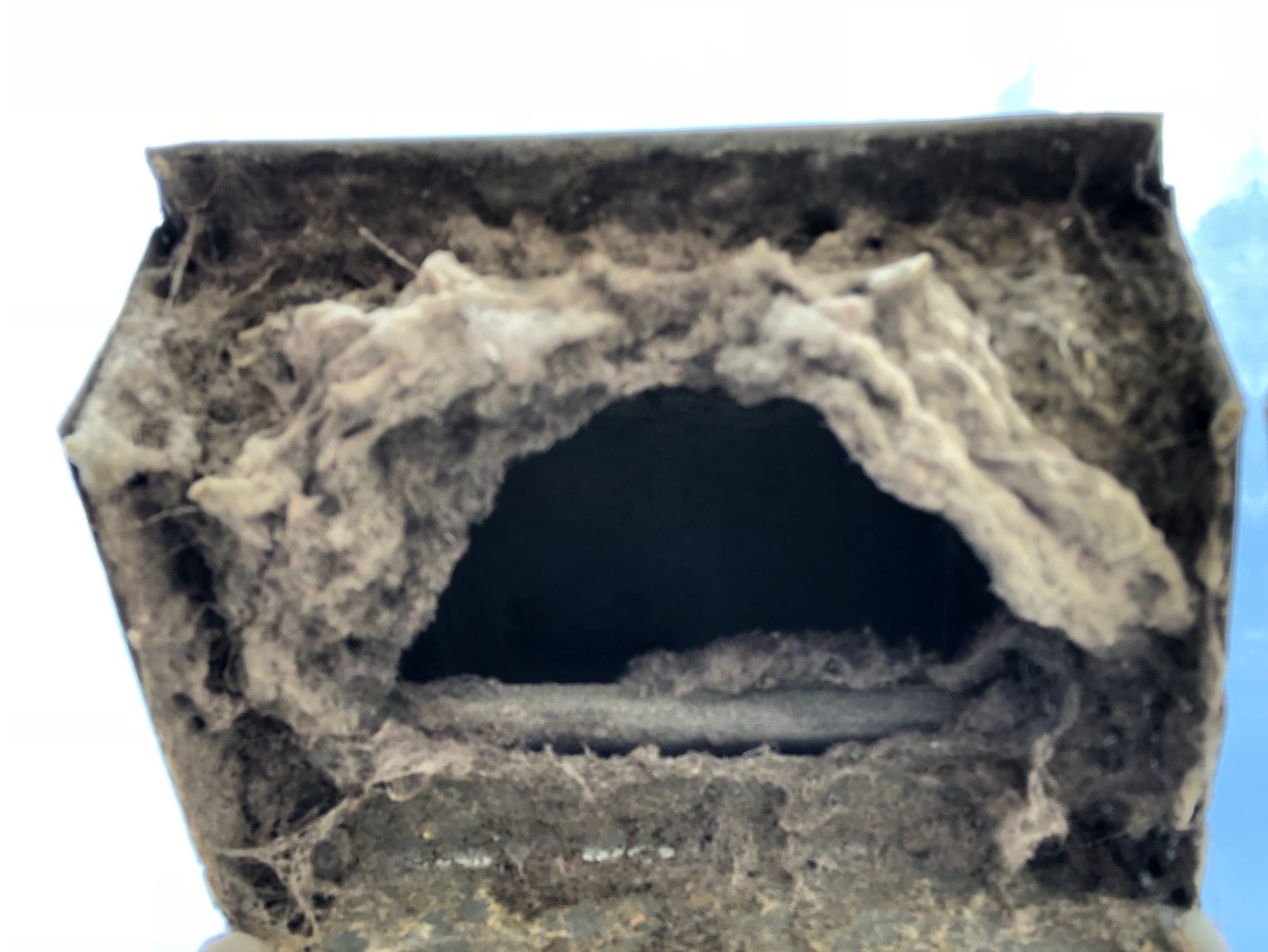 dryer duct cleaning