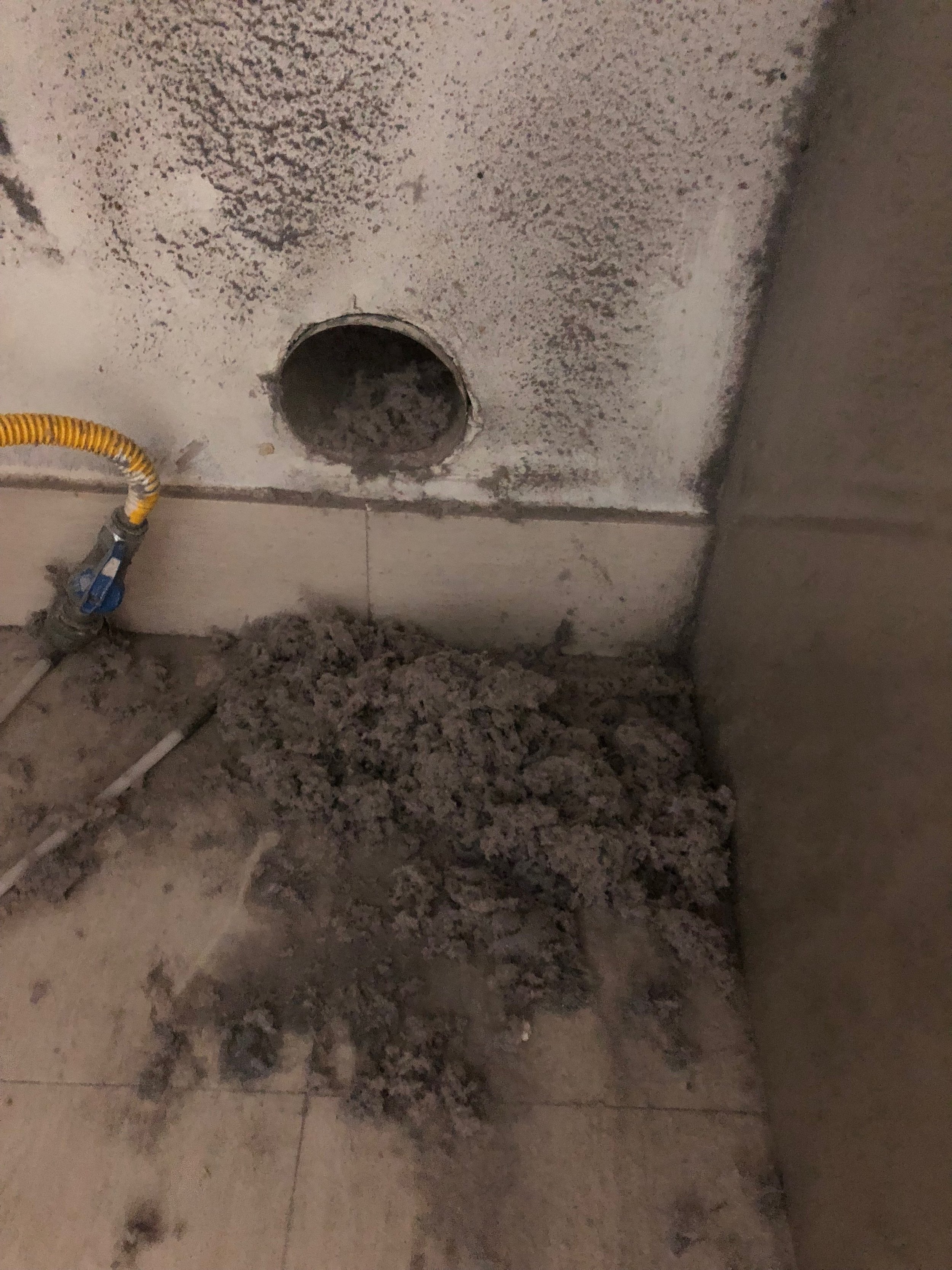 dryer vent cleaning