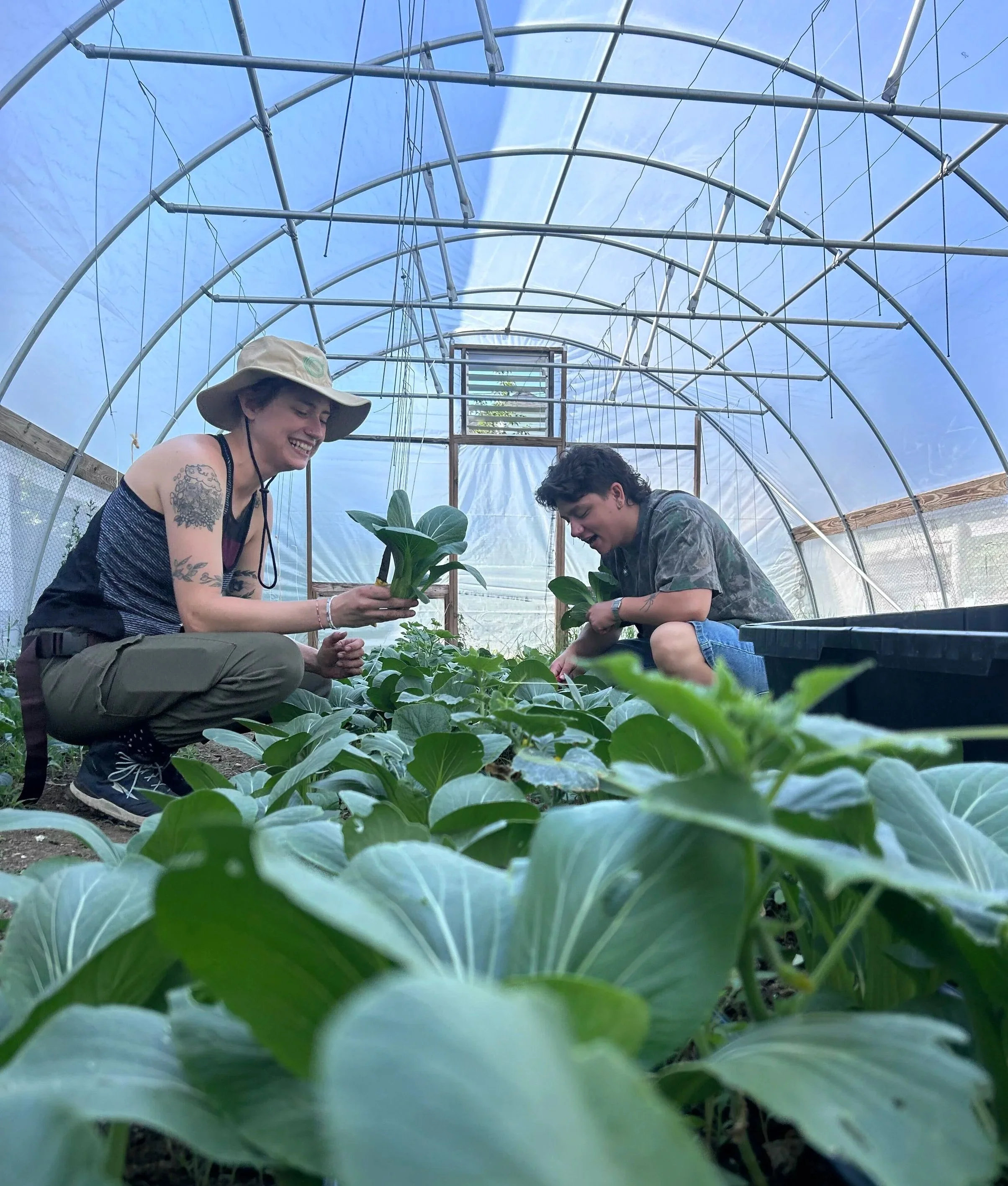 AmeriCorps members working in the U-Pick Garden