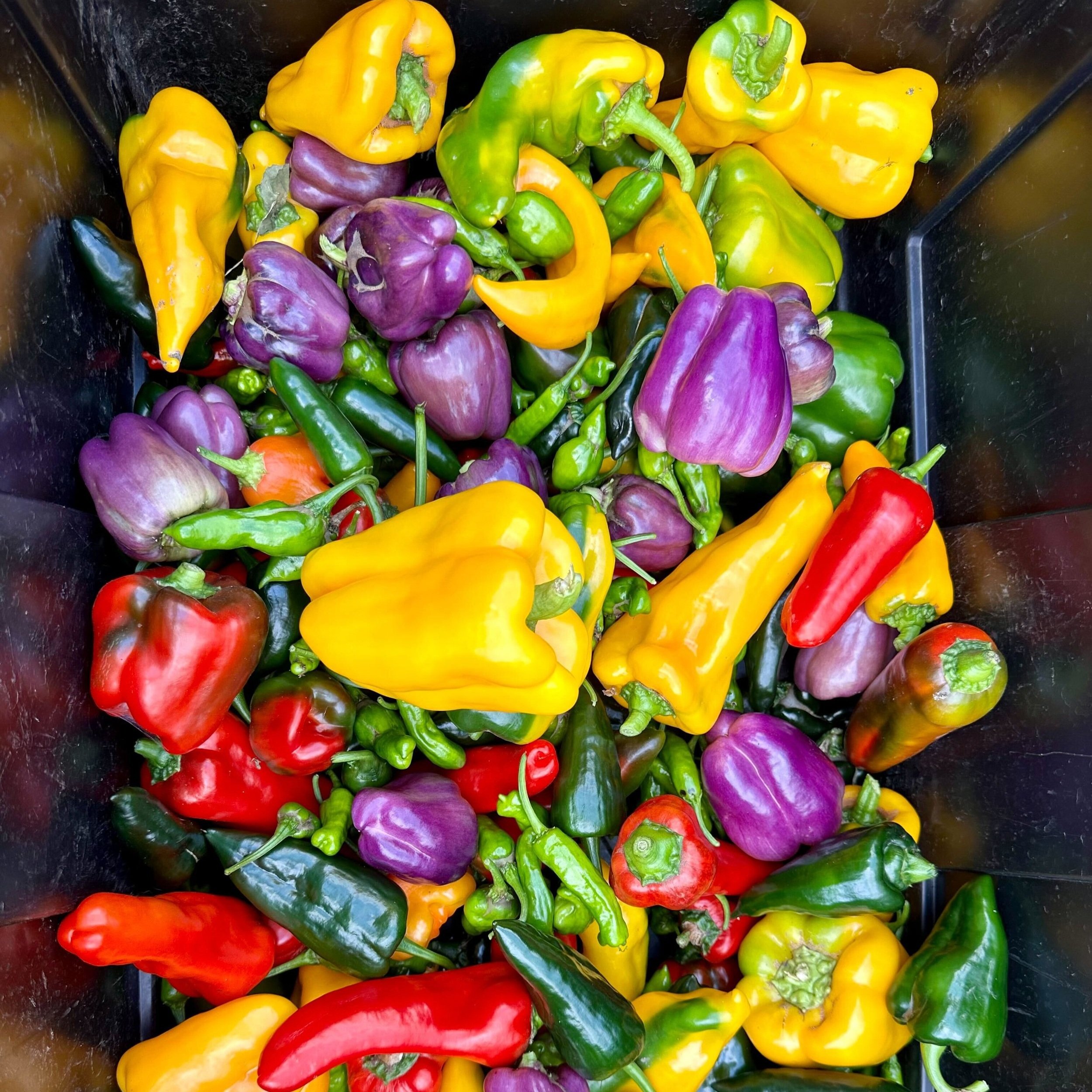 Franklinton Produce Market