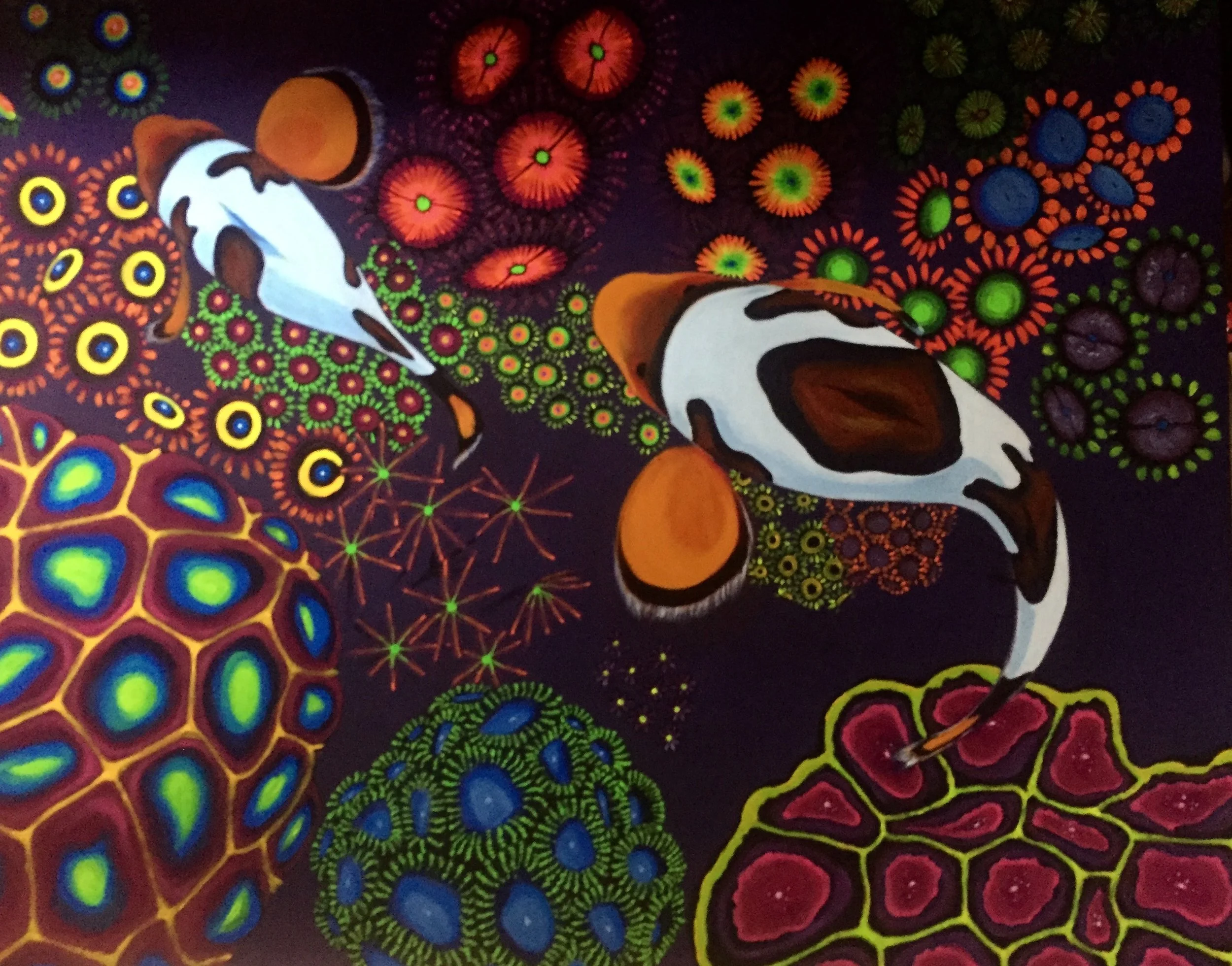 Reef Koi Series #1