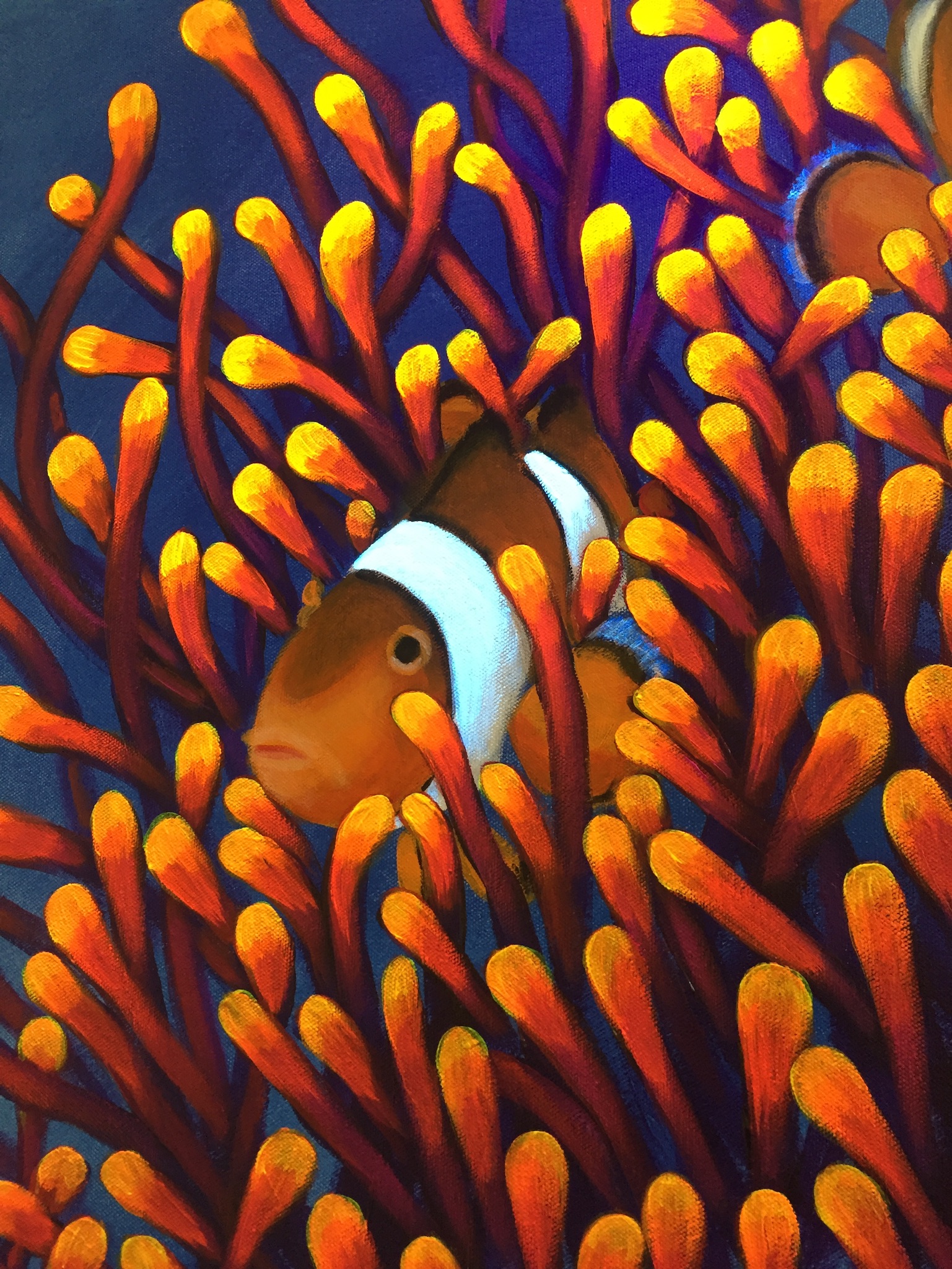 Clownfish and Bubble Tip - Sold at RAP NY