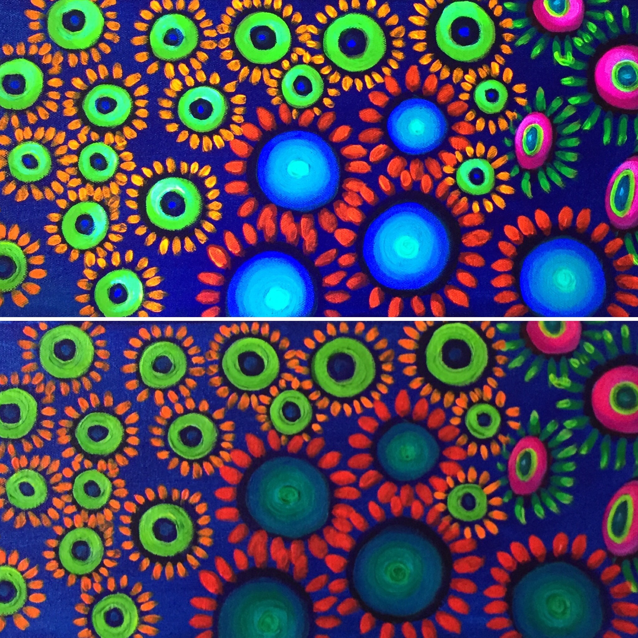 Zoa garden - SOLD