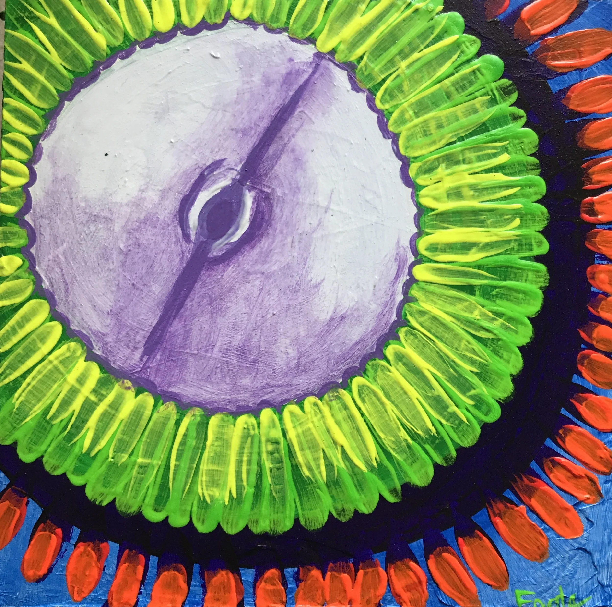 Treehouse of Horror Zoanthid