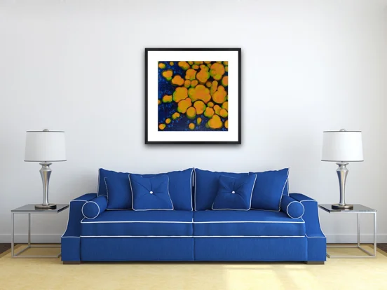 Bouncy - Limited Edition Print (24"x24" print area)