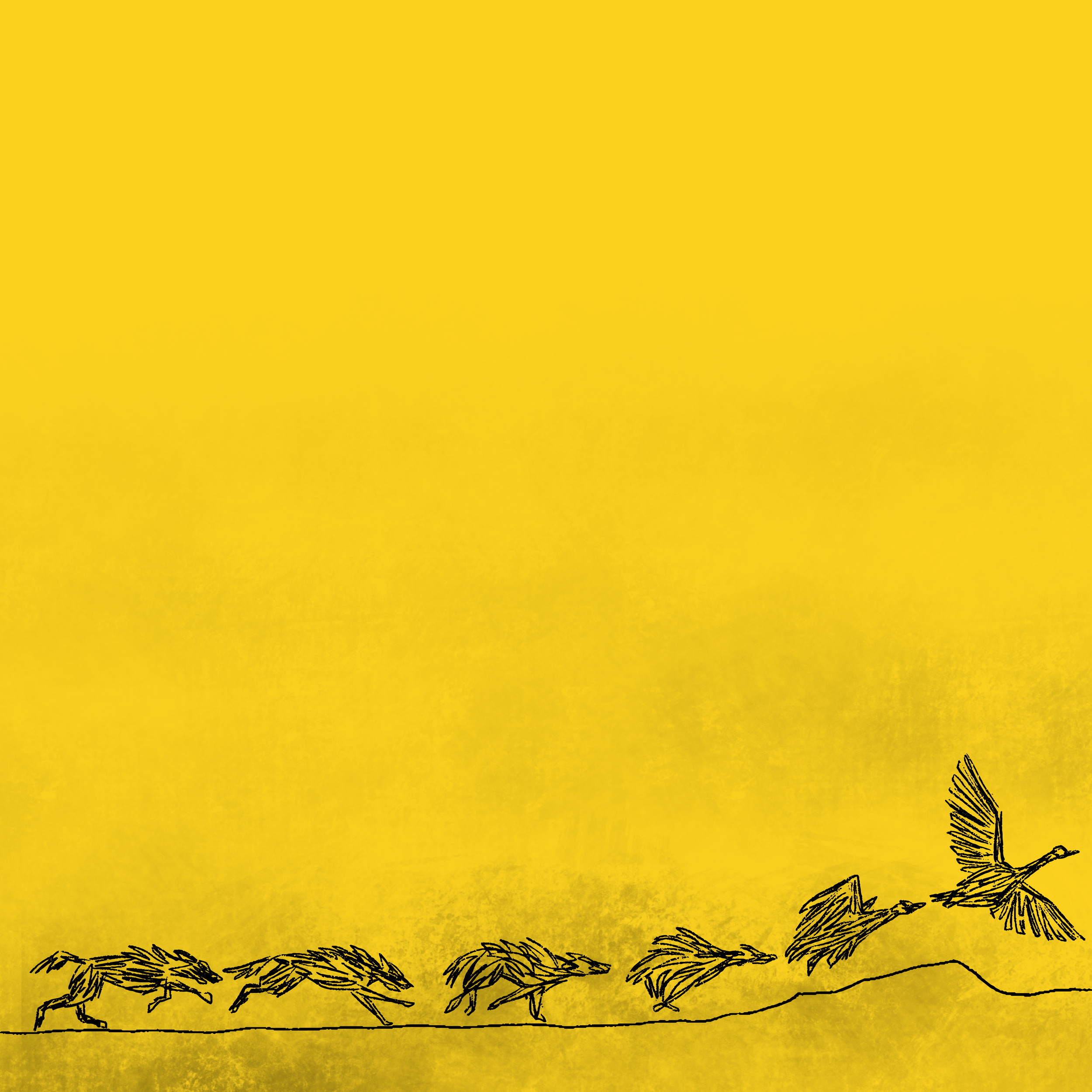 Yellow-For Instagram Post - Creature Graphic.png