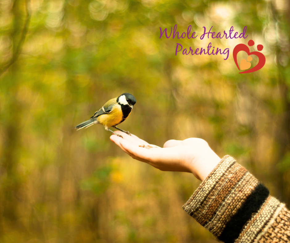 Can Trust Be Rekindled?