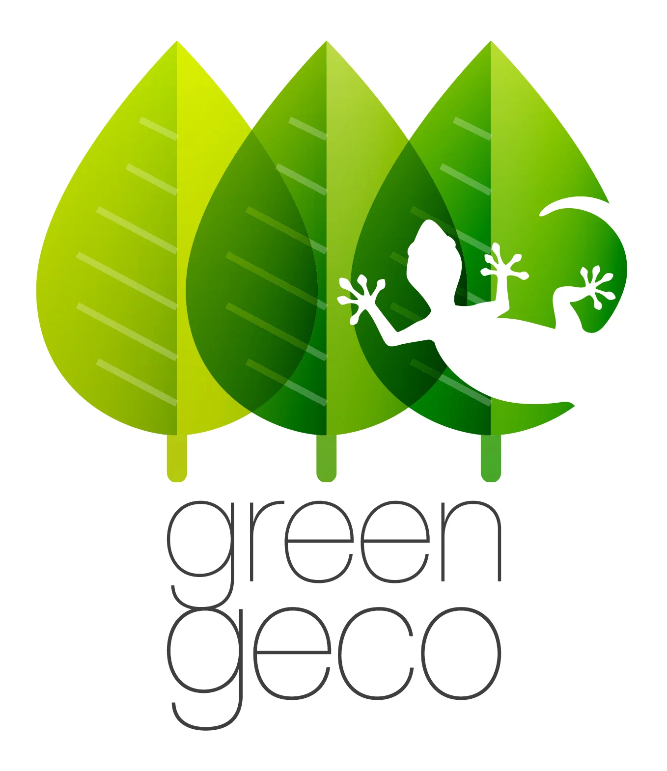 Logo e coordinato aziendale Green Geco
