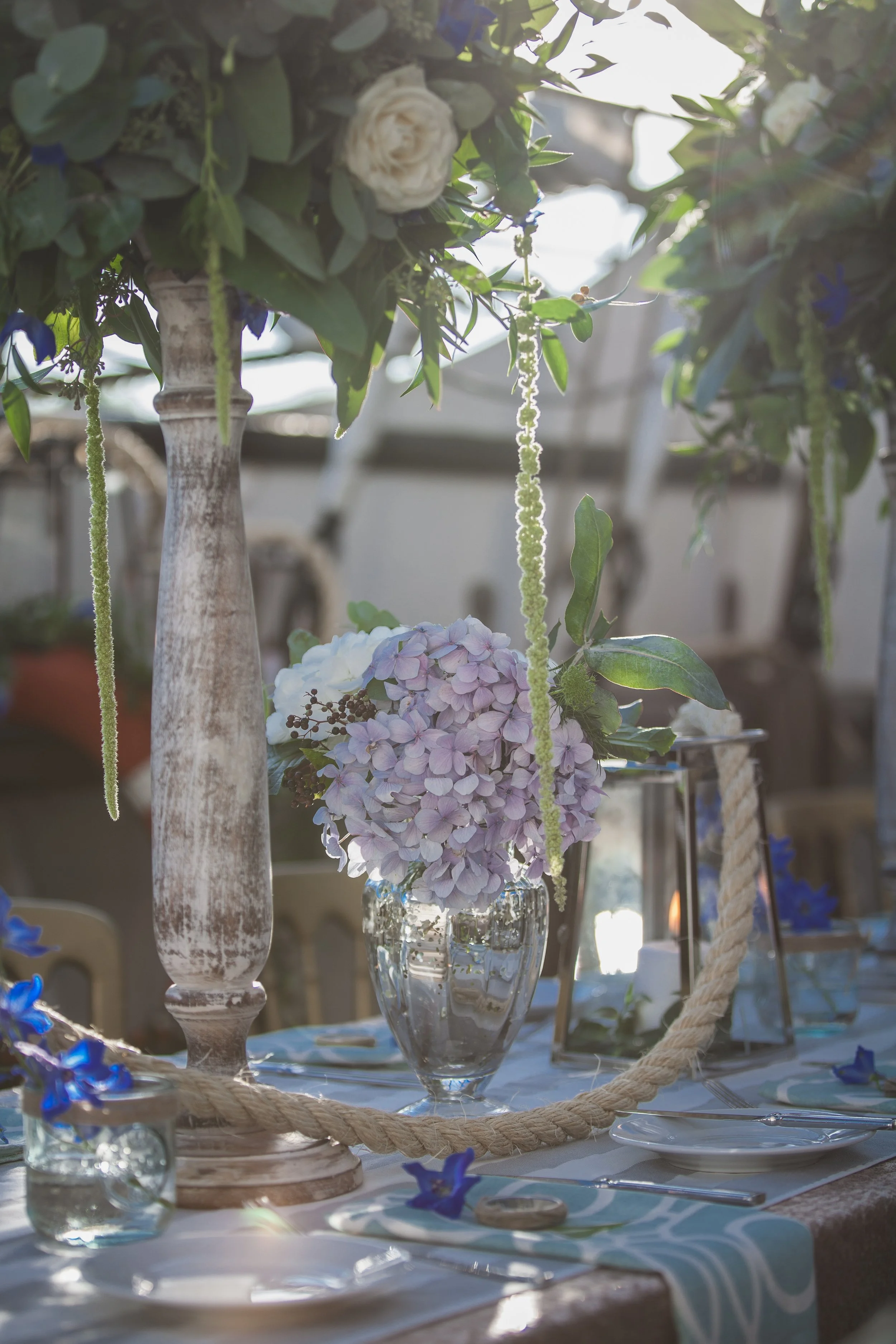 Ginger & Lime-094.jpg