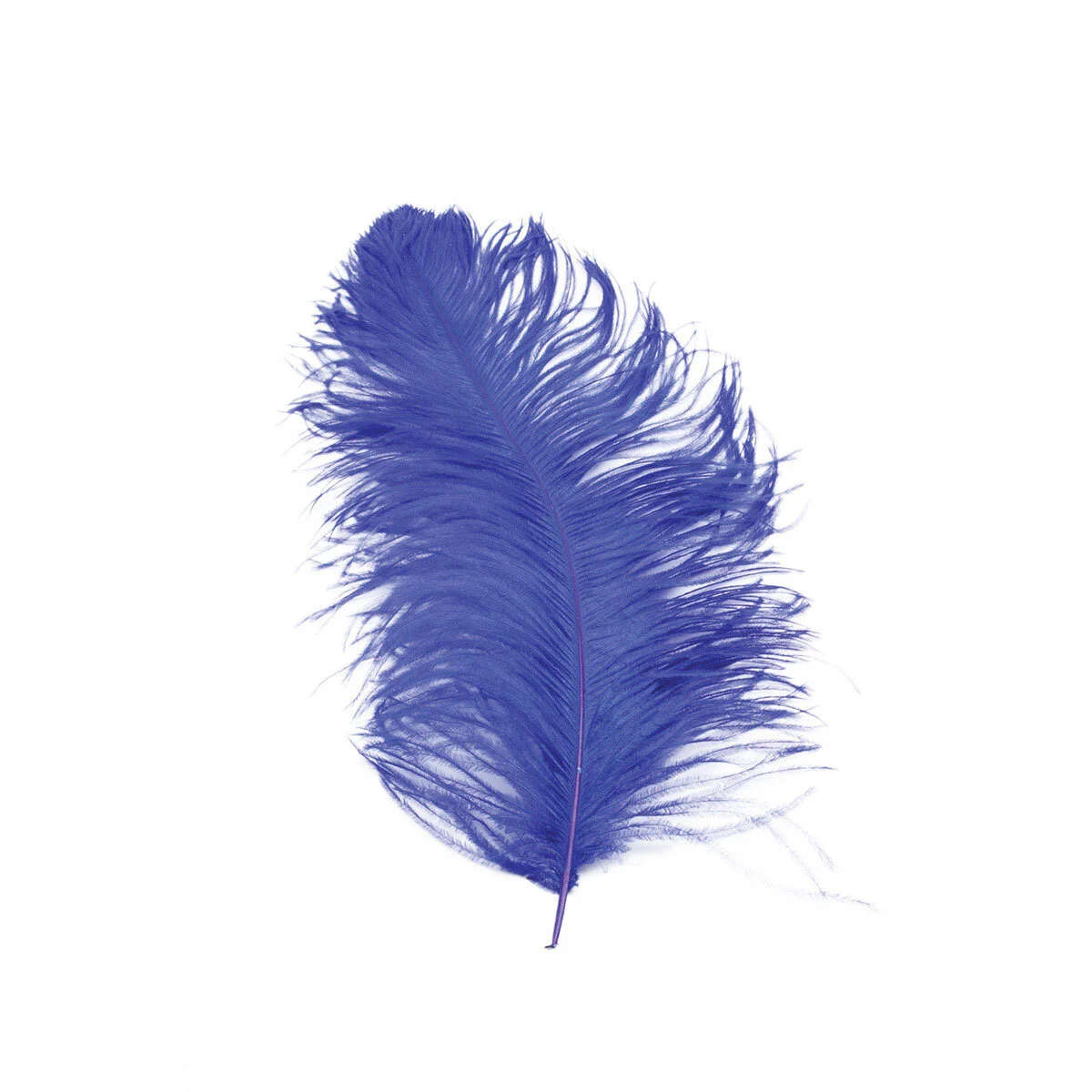 Feather - Ostrich Plume