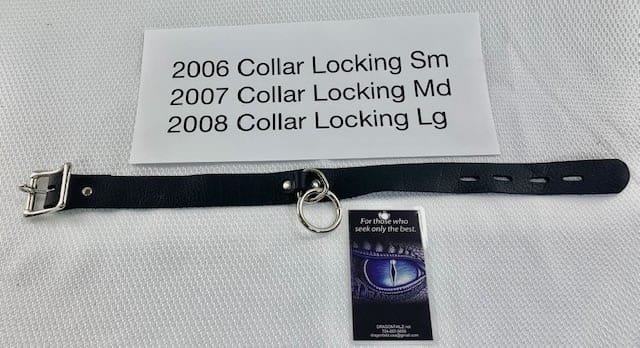 DragonTailz 2006 Locking Collar Small (11"-13.5")
