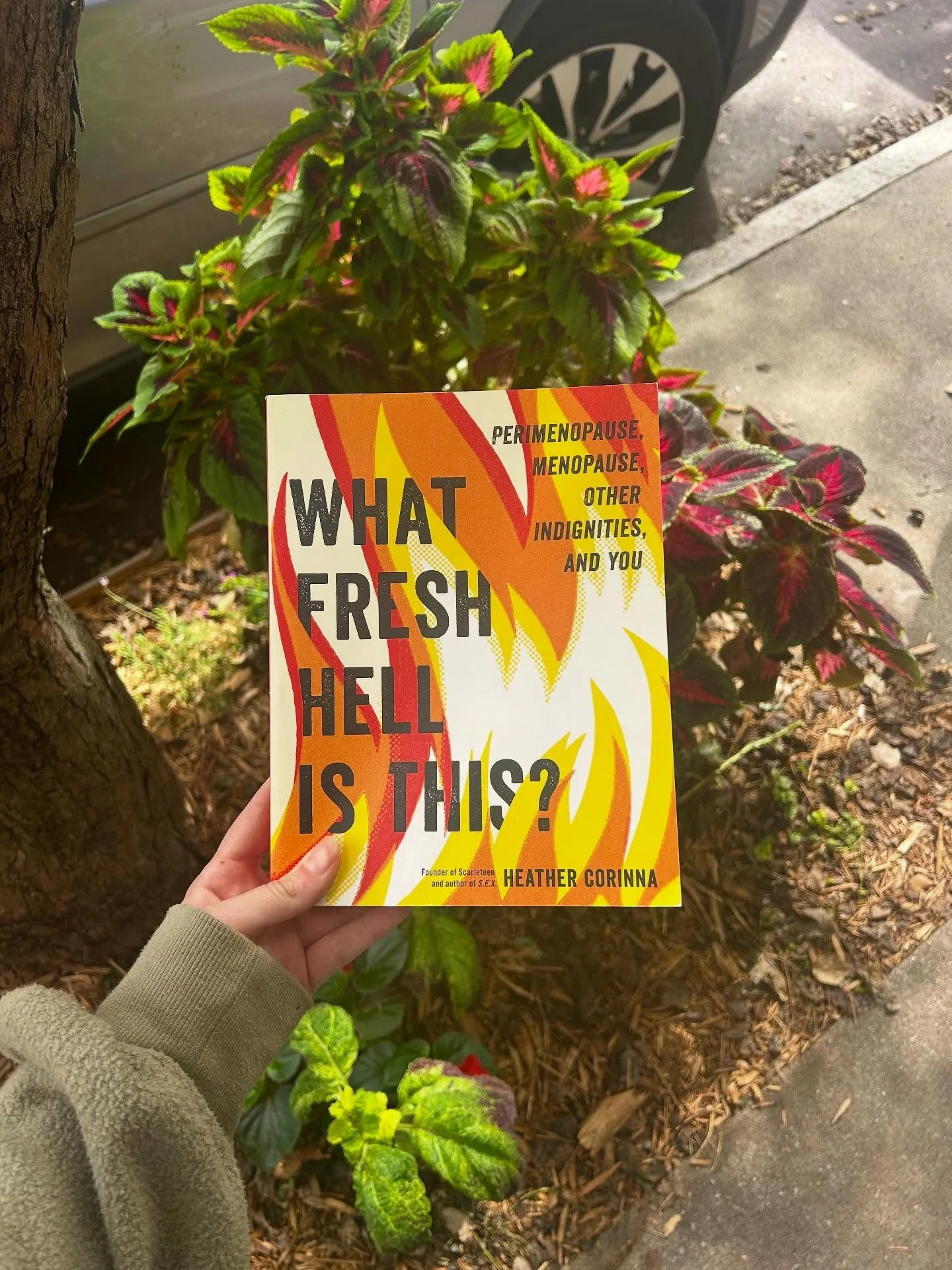 &ldquo;What to expect when you&rsquo;re not expected to expect anything anymore&rdquo; 🔥🔥

VaVaVooom
57 Broadway Street, Downtown Asheville 

#828isgreat #ashevillenc #ashevillelife #visitasheville #shoplocalavl #ashevillelocal #ashevilleromance #a