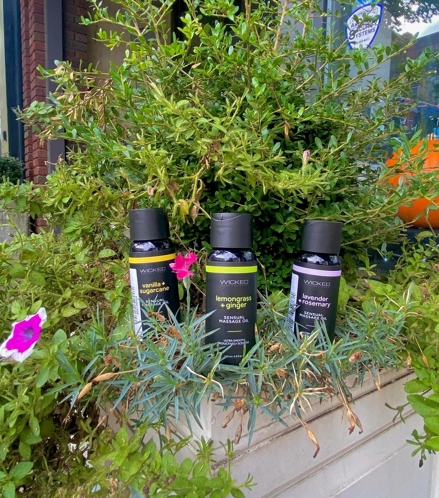 Chilly mornings call for staying in bed &amp; showing yourself and your partner some love ❤️&zwj;🔥🎞️

We&rsquo;ve got some lovely massage oils in the shop right now to engage scent in your sensory experience 🕯️🪻

Open until 9pm tonight 🌄 

#roma