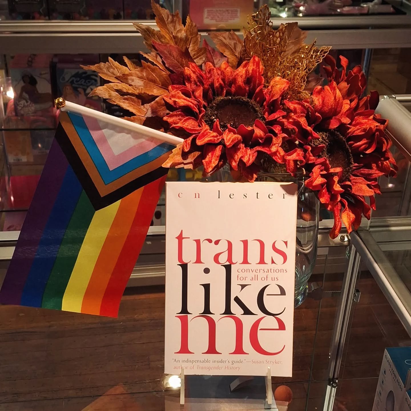 In &quot;Trans Like Me,&quot; CN Lester offers a scintillating cultural survey of trans identity and gender nonconformity that is accessible to community members and allies alike. It's a perfect resource for your spouse, your friends, or that one fam