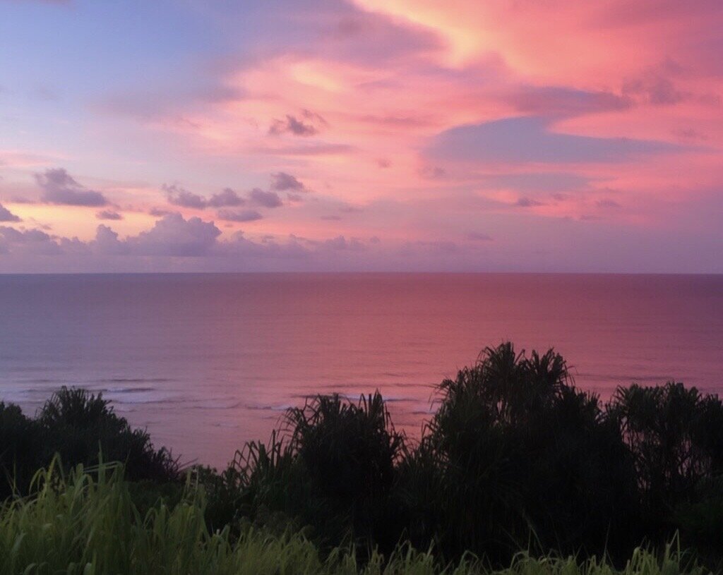 This is the view from The Westin Princeville where we would grill fresh local caught fish every night!