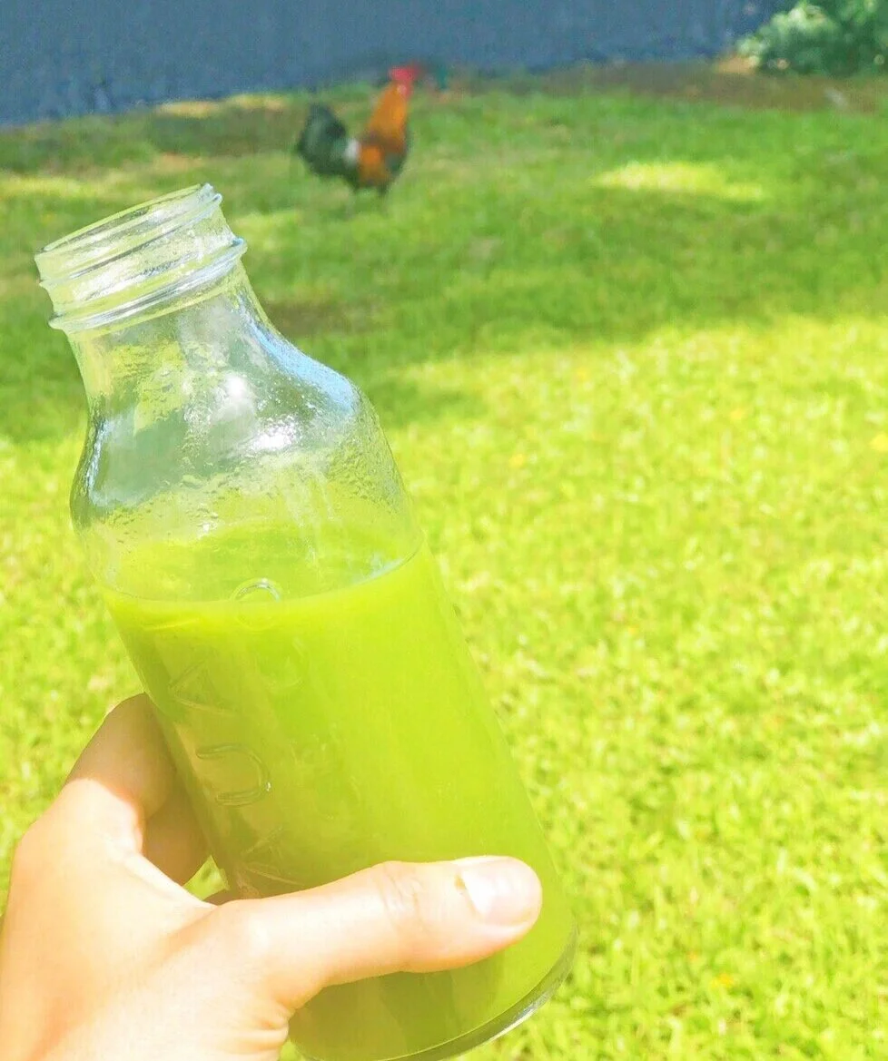 Glow Cold Pressed Juice at Kauai Juice Co