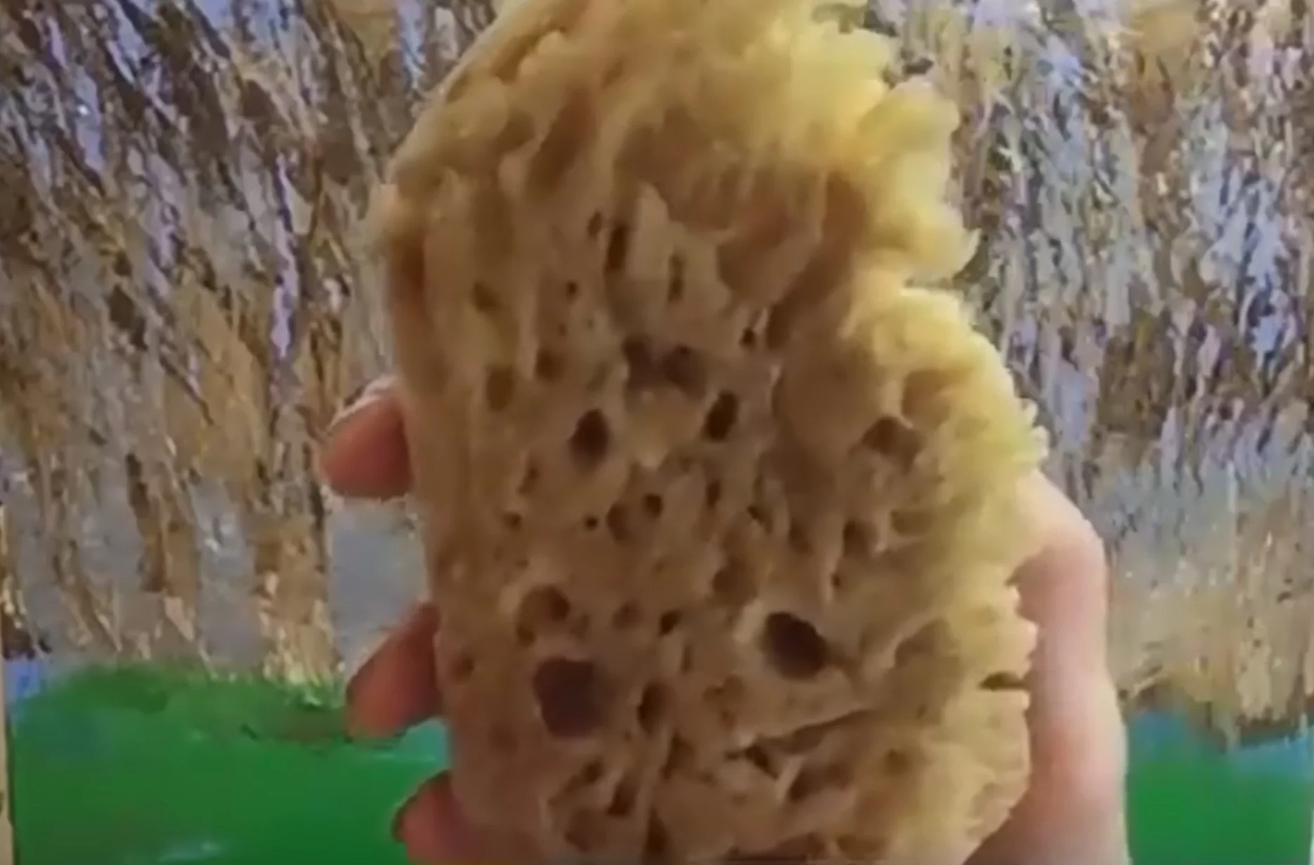 painting with sea sponge.jpg