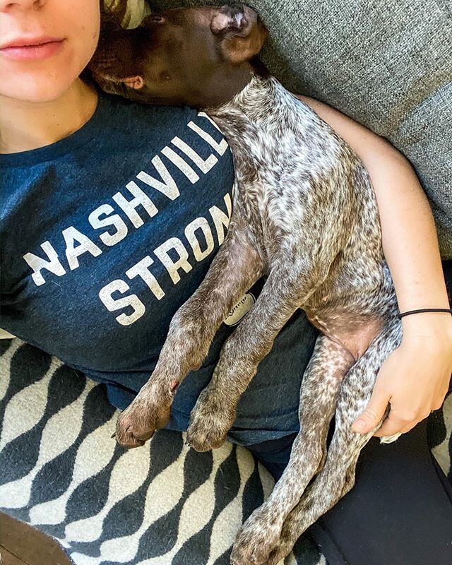 Puppy snuggles help. ❤️ @chocolatedippedsiblings