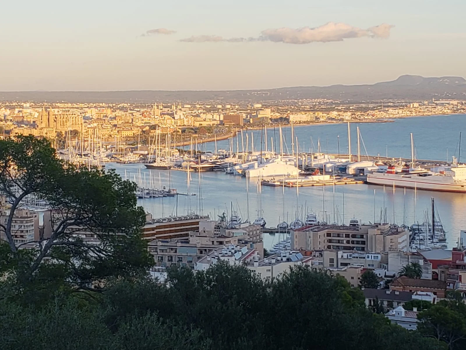 Ever Enchanting Palma de Mallorca 