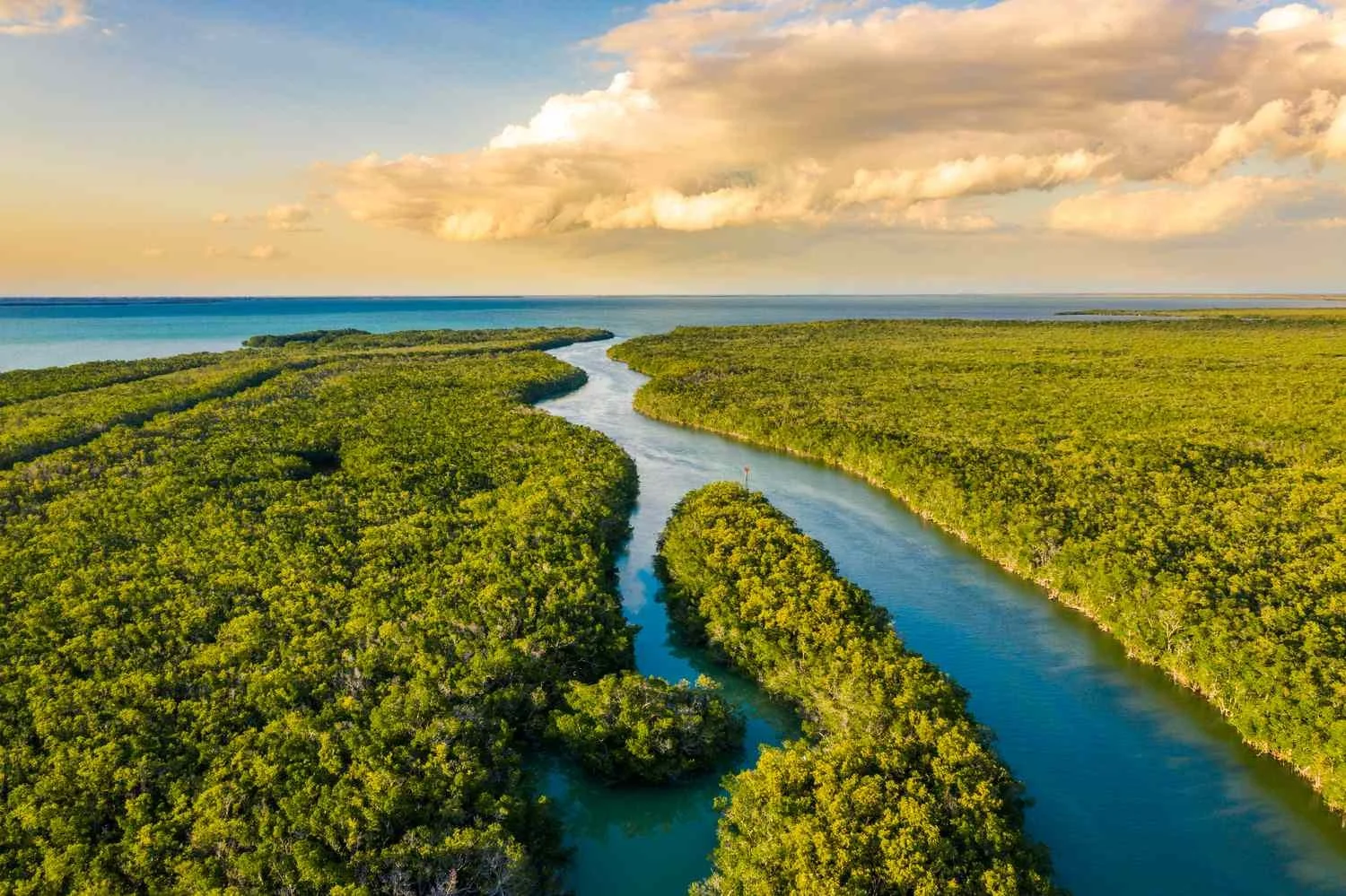 Everglades National Park Tour — Airboat Tours + Gator Show + Reptile Exhibit