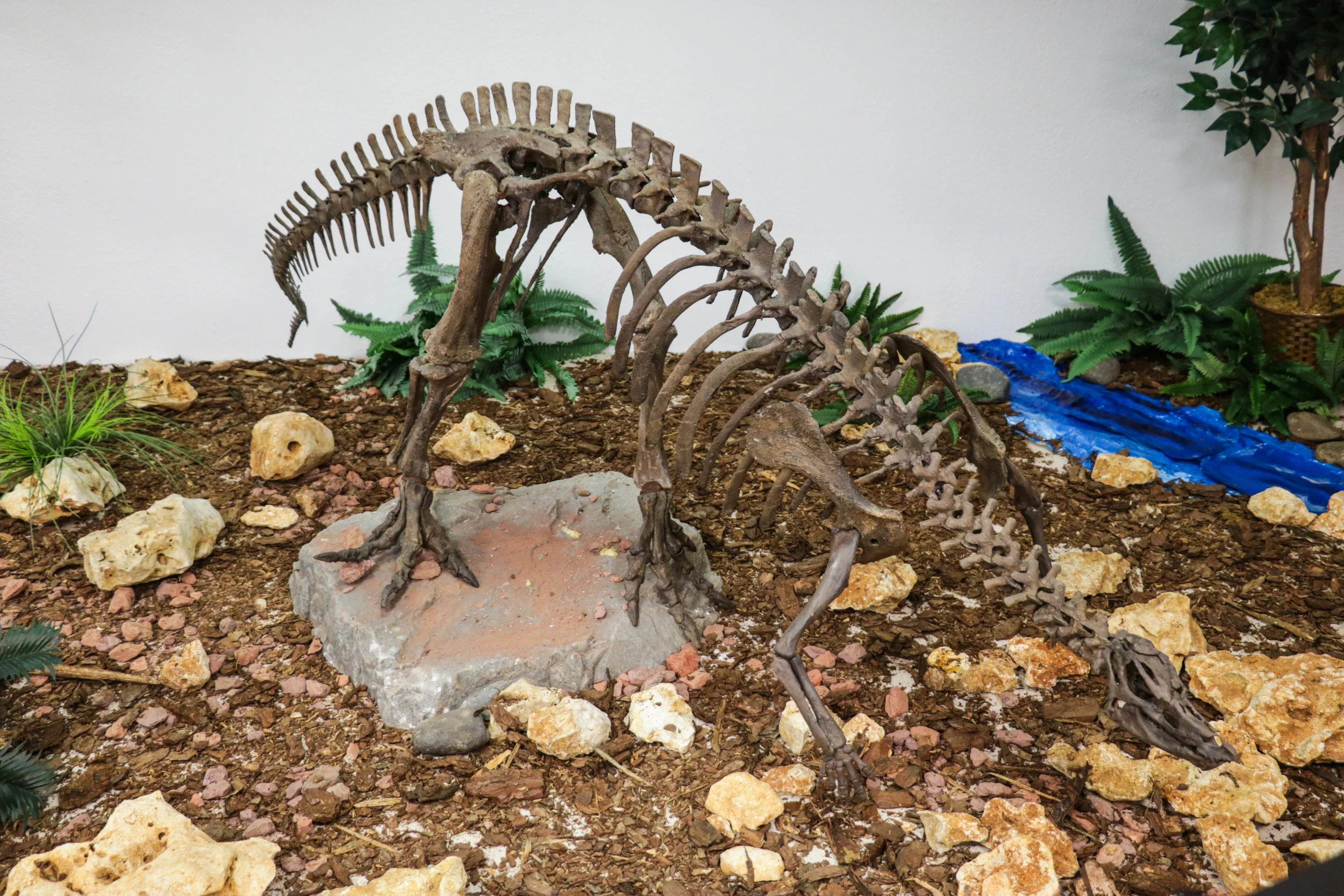 3D Printed Thescelosaurus