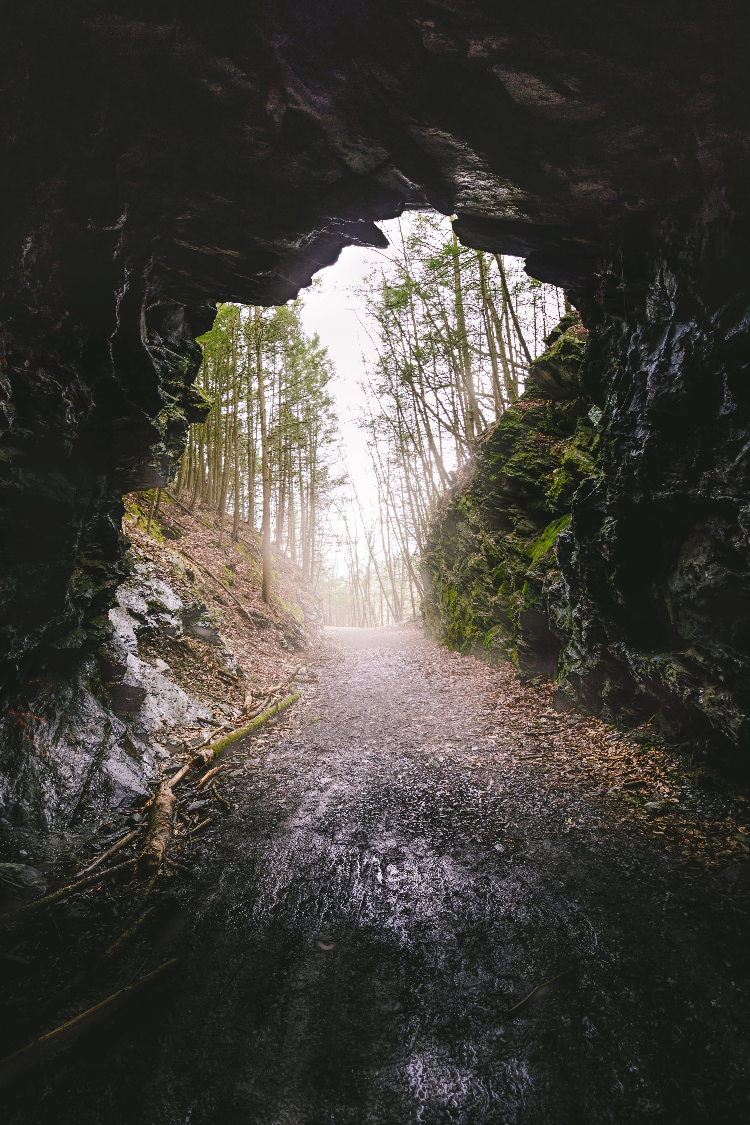 Sleepy Hollow 