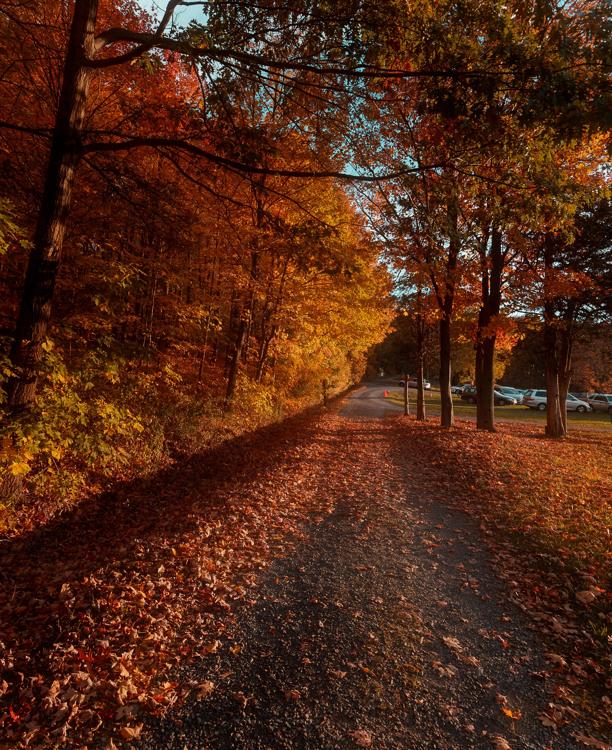 Late Fall Light in New Paltz