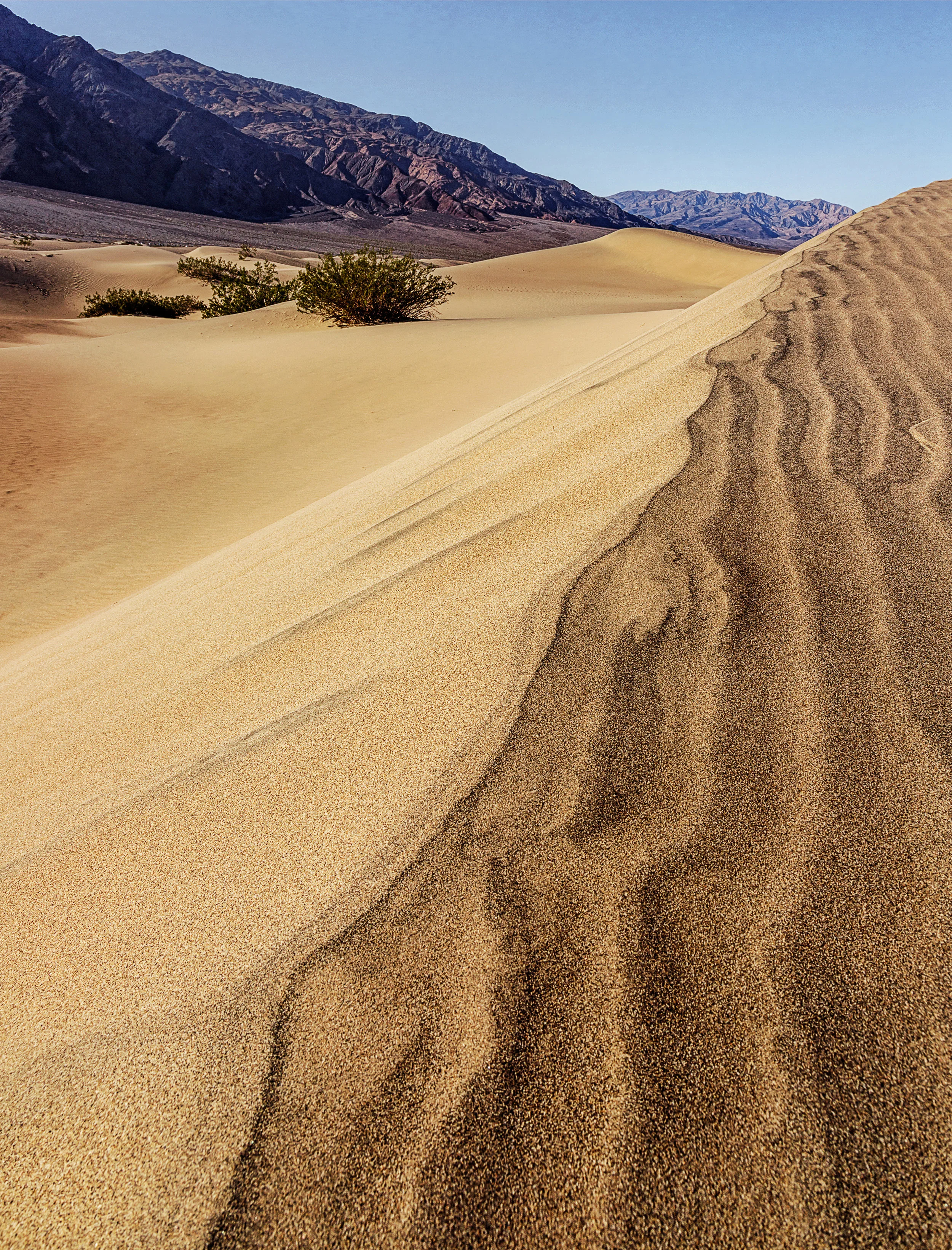 Mesquite Flat Sand Dunes 