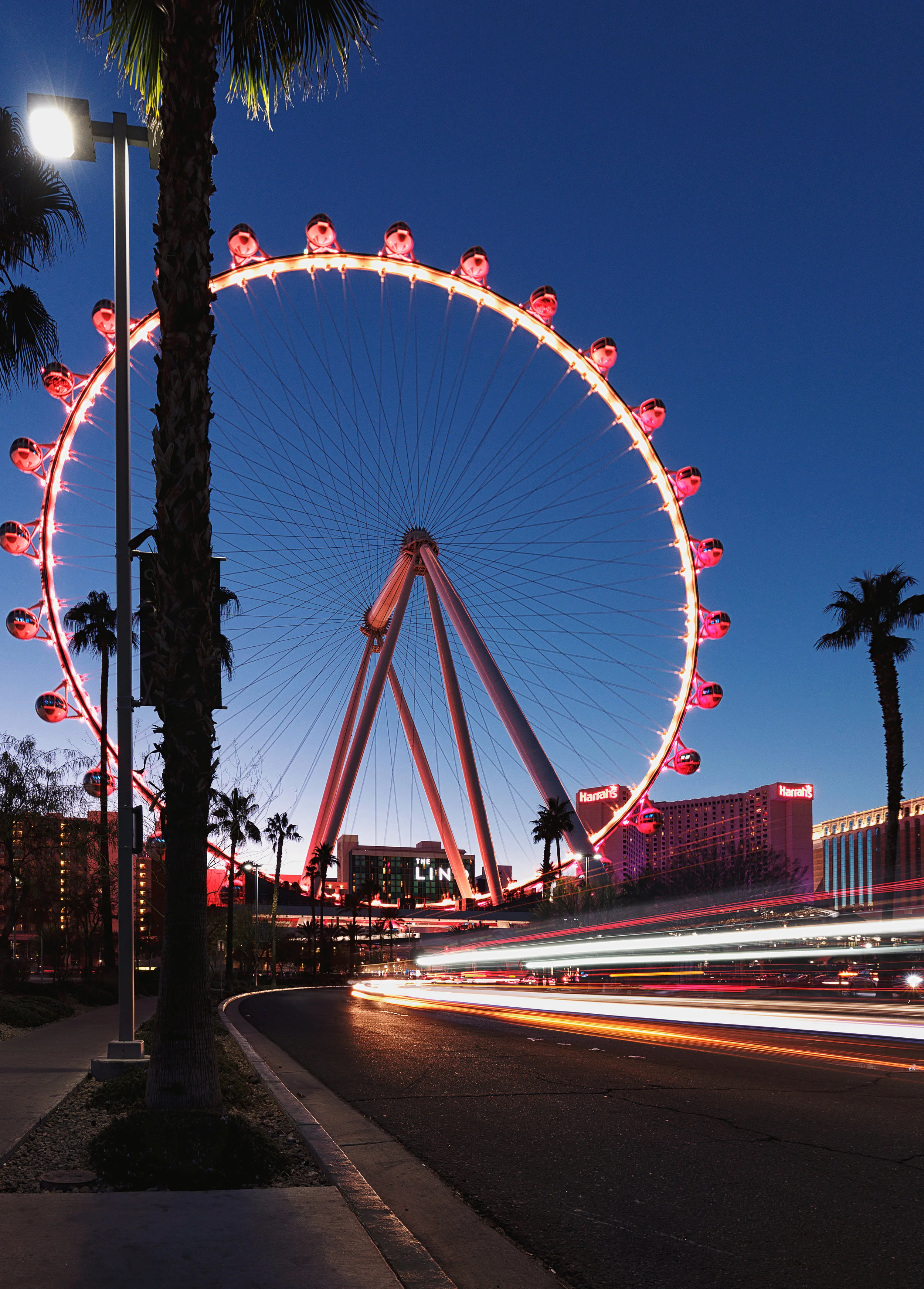 On a roll in Vegas II