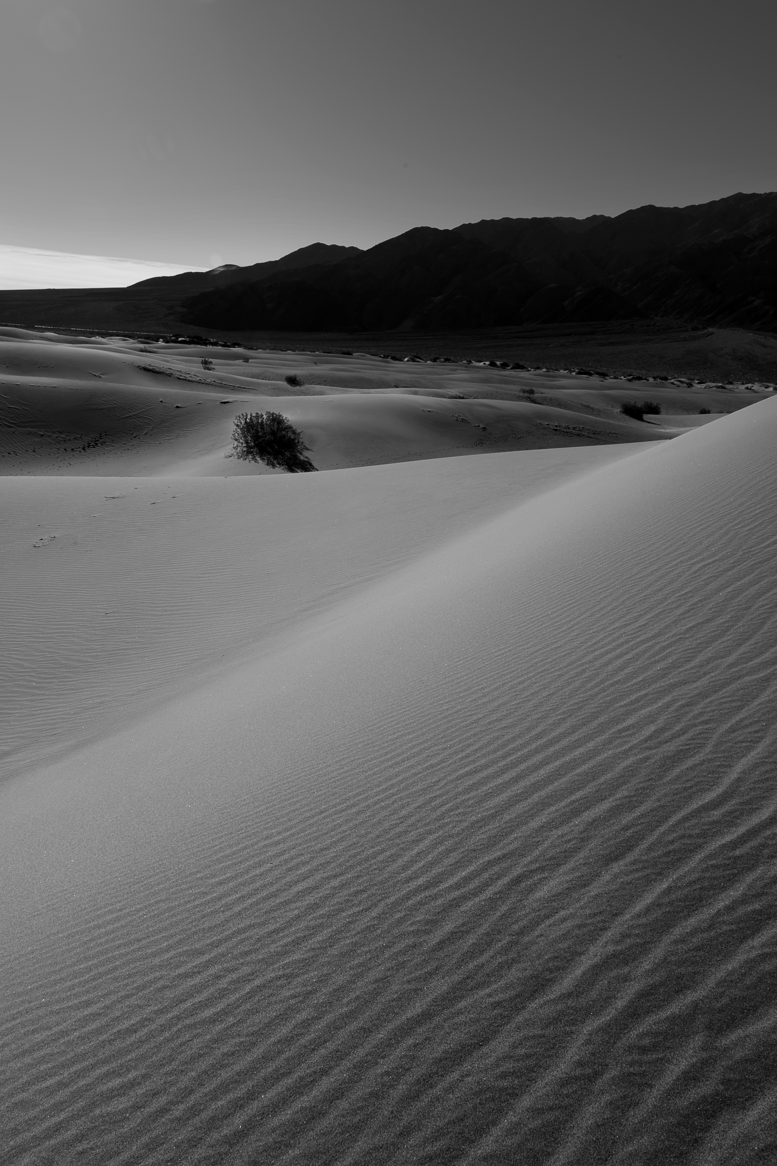 Mesquite Flat Sand Dunes 