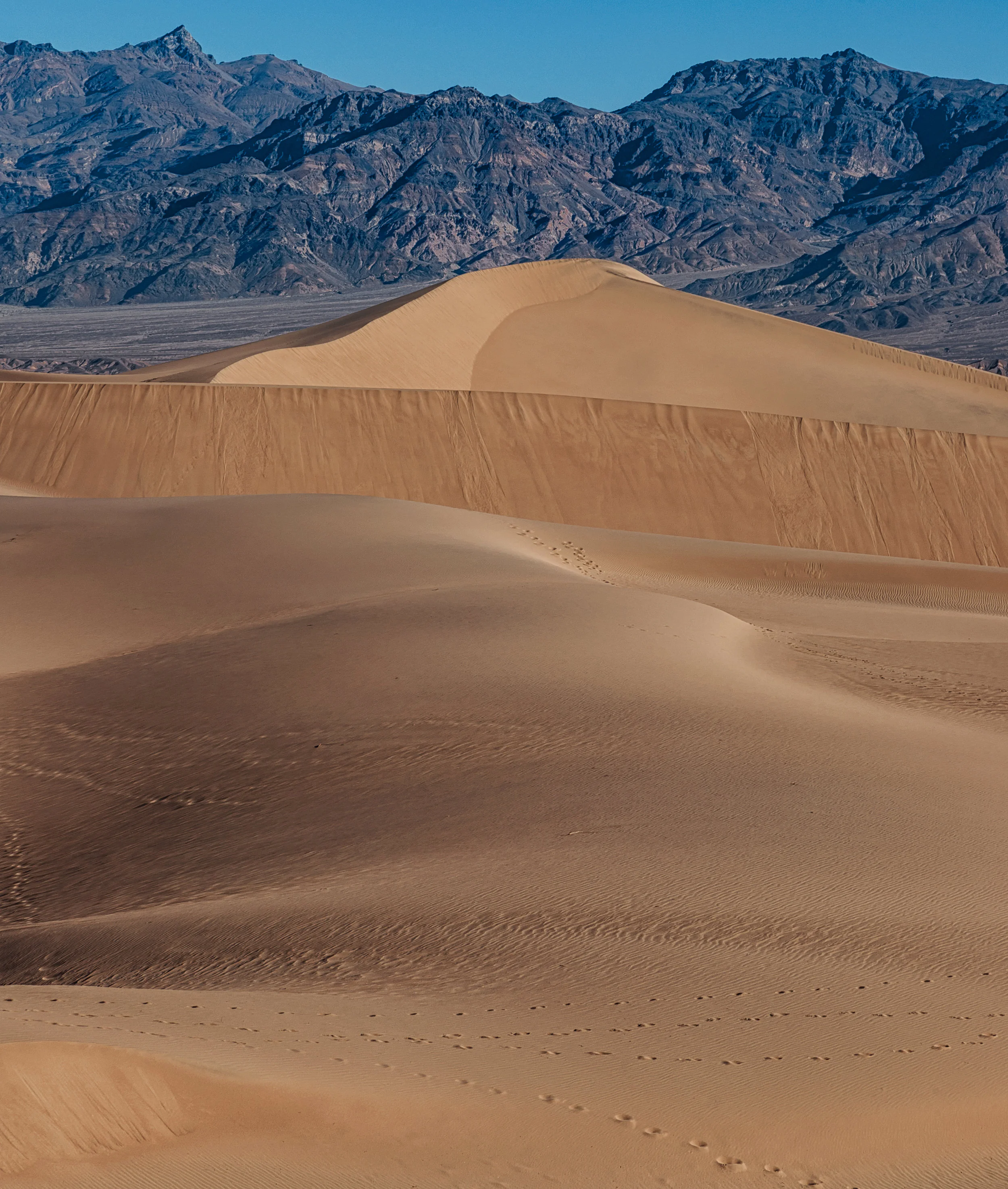 Mesquite Flat Sand Dunes