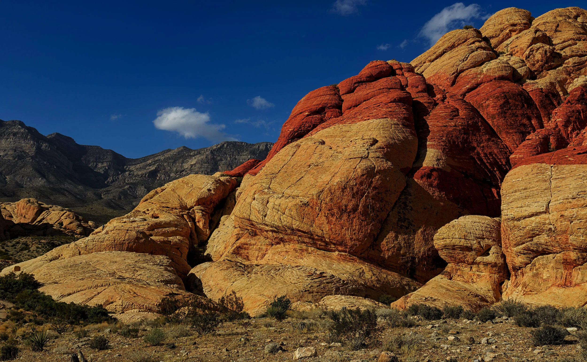 Red Rock Canyon Nevada