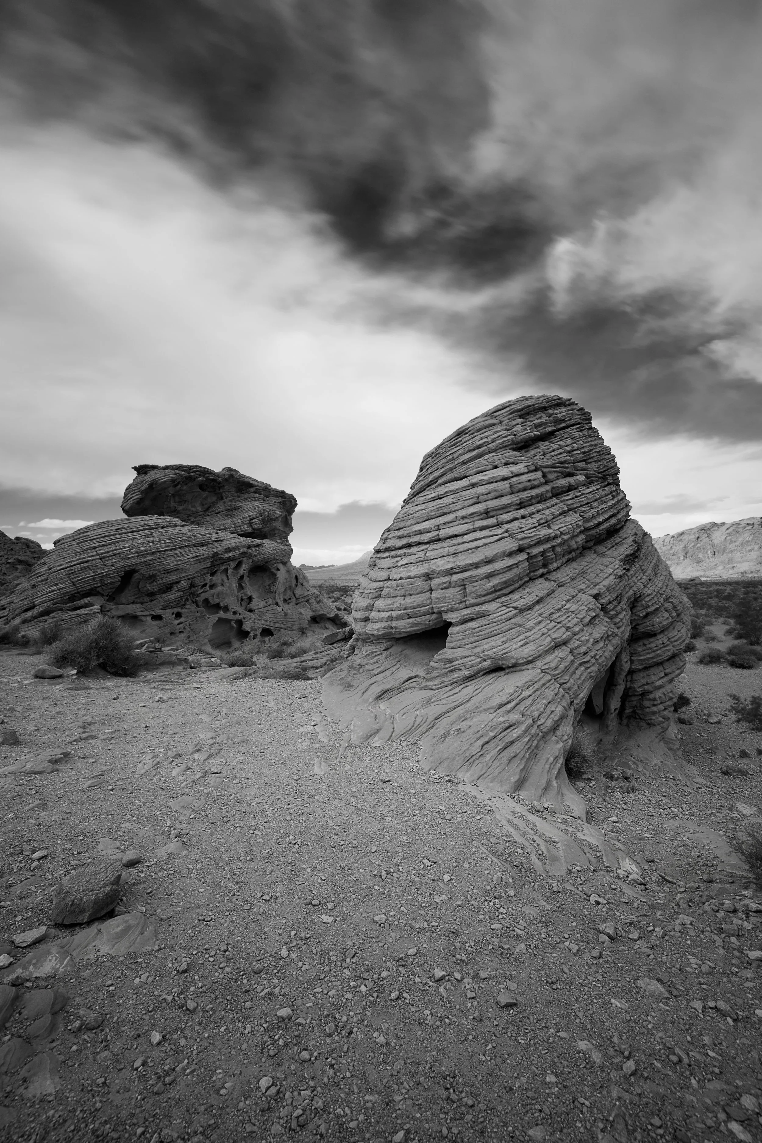Beehives at Valley of Fire