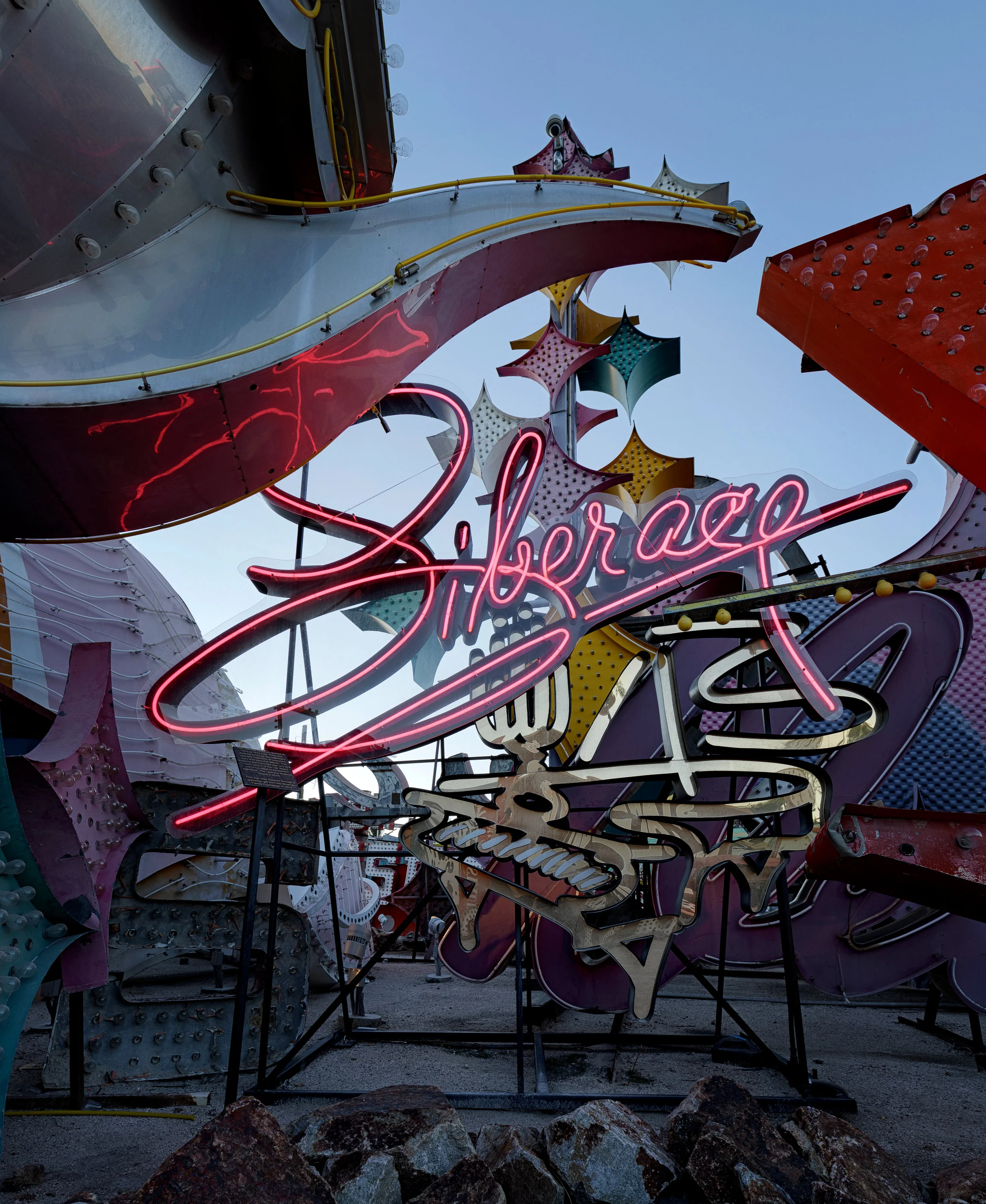 Neon Boneyard