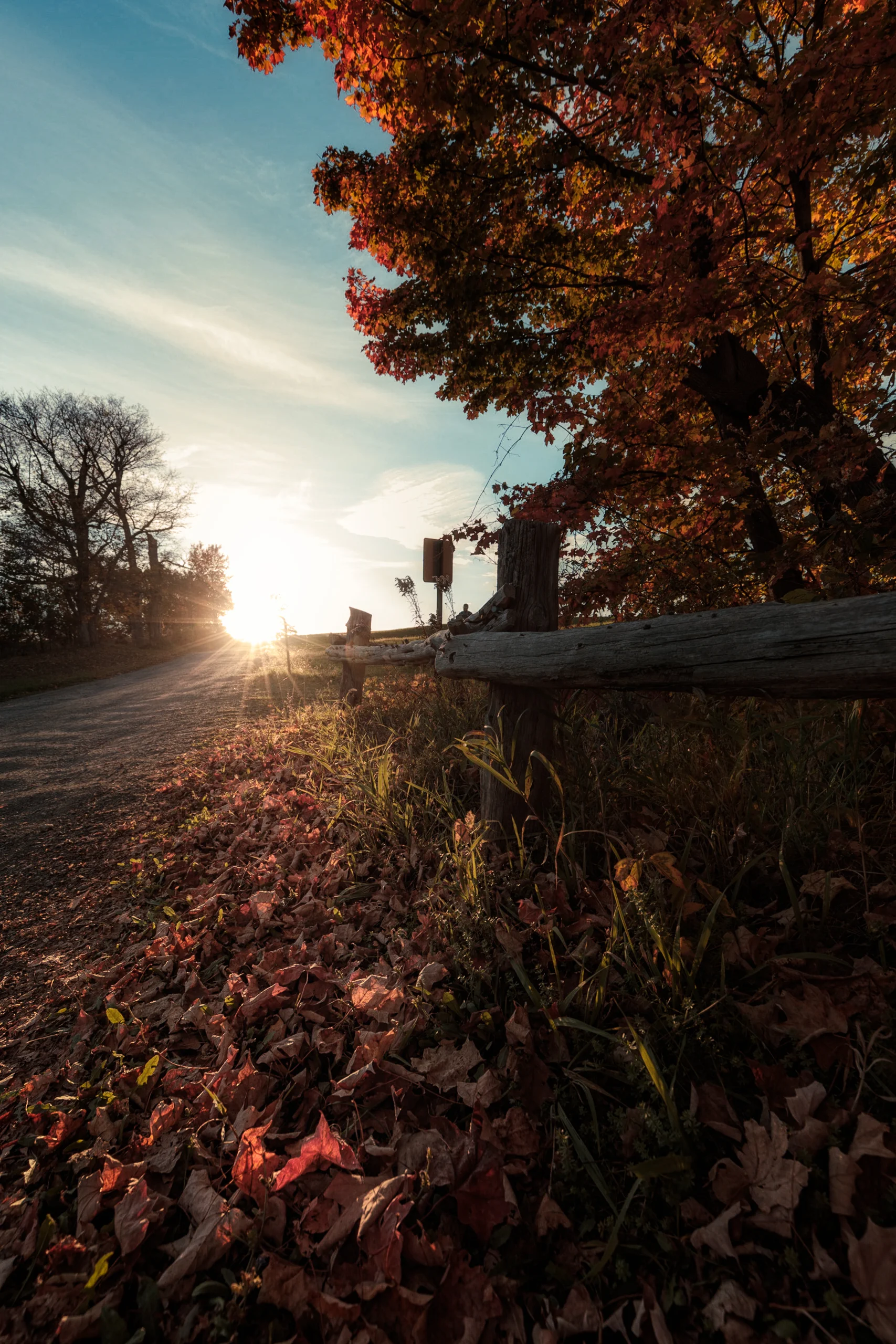 New Paltz NY