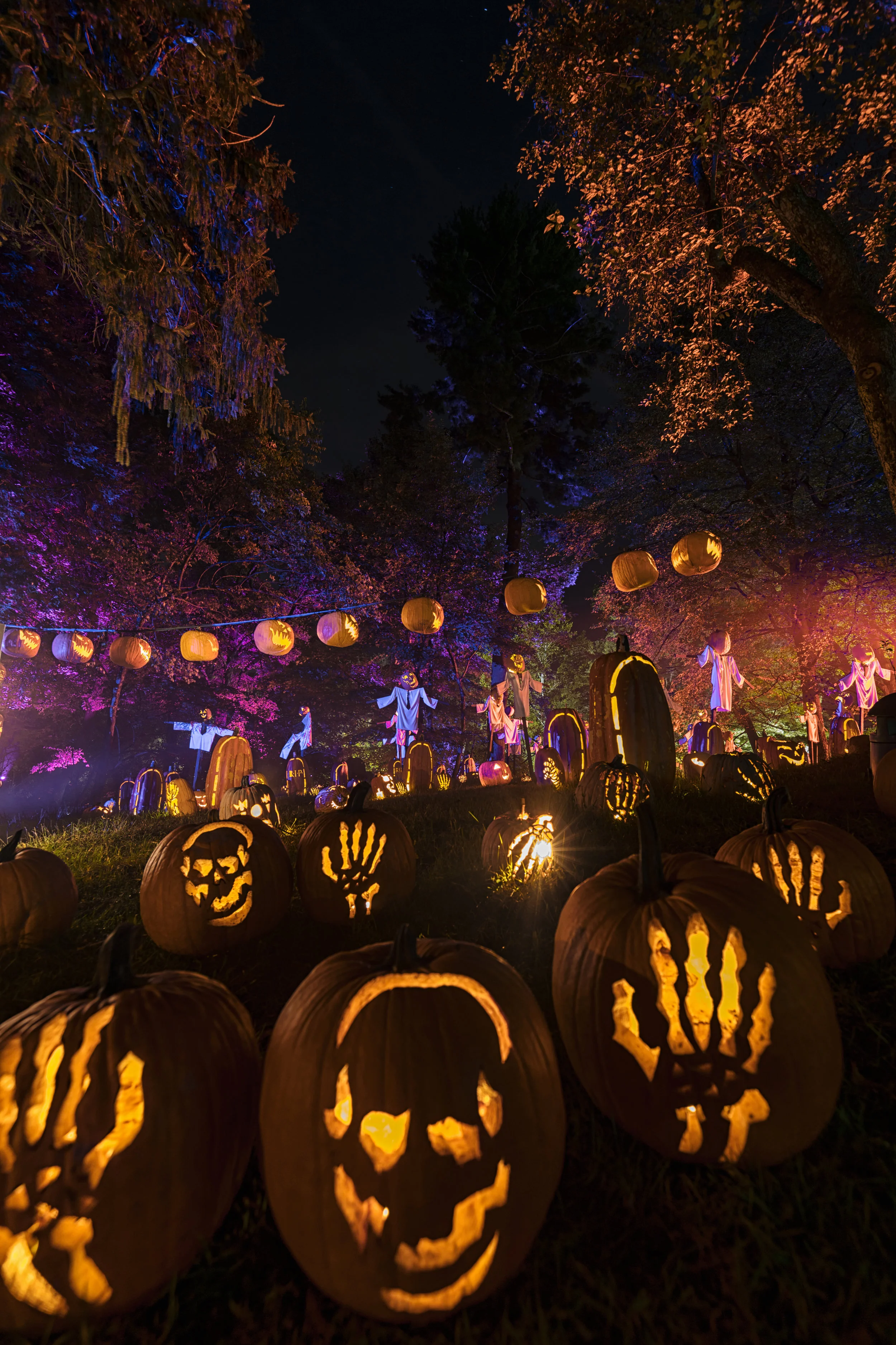 Blaze Jack O Lantern Fest
