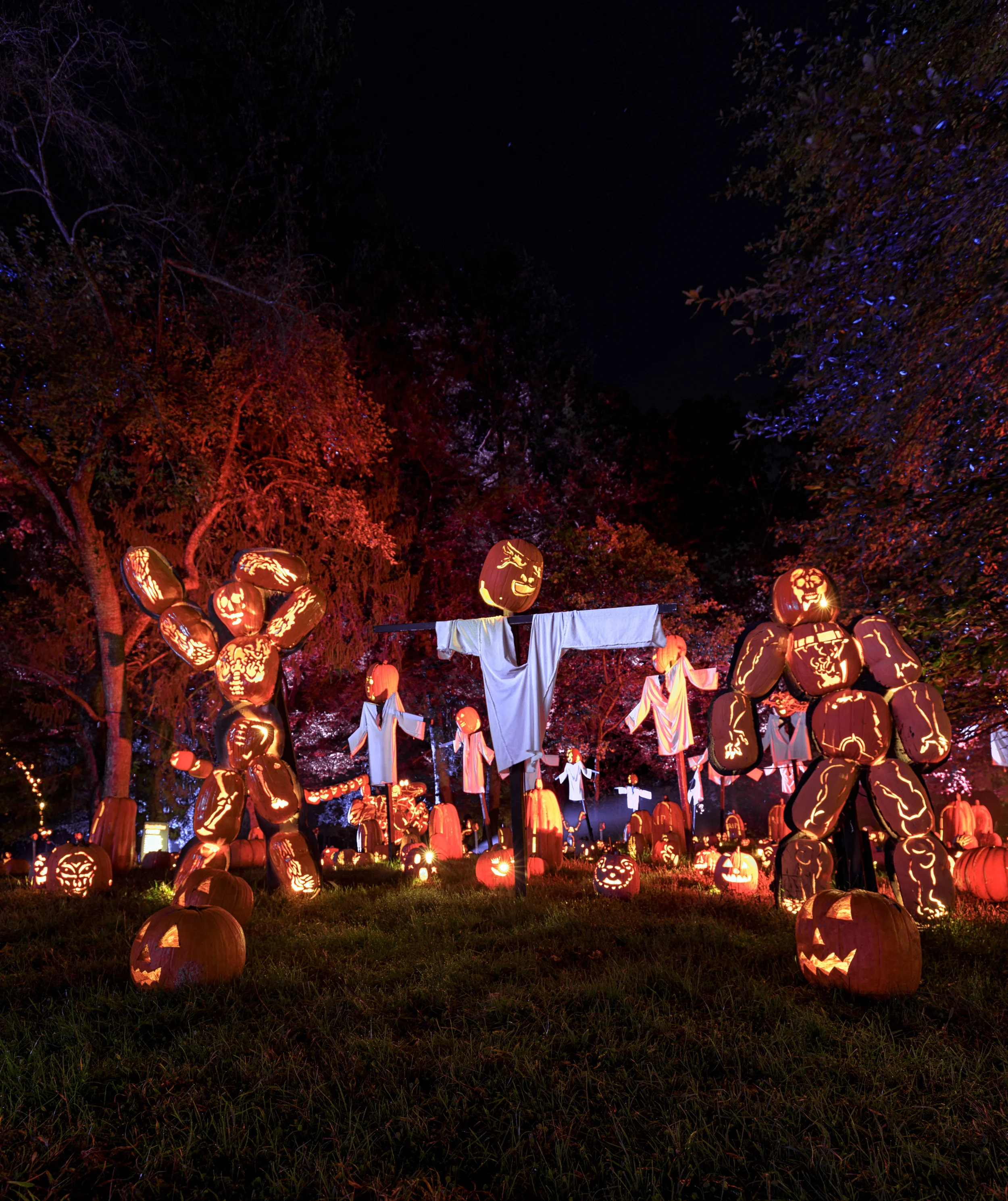Blaze Jack O Lantern Fest