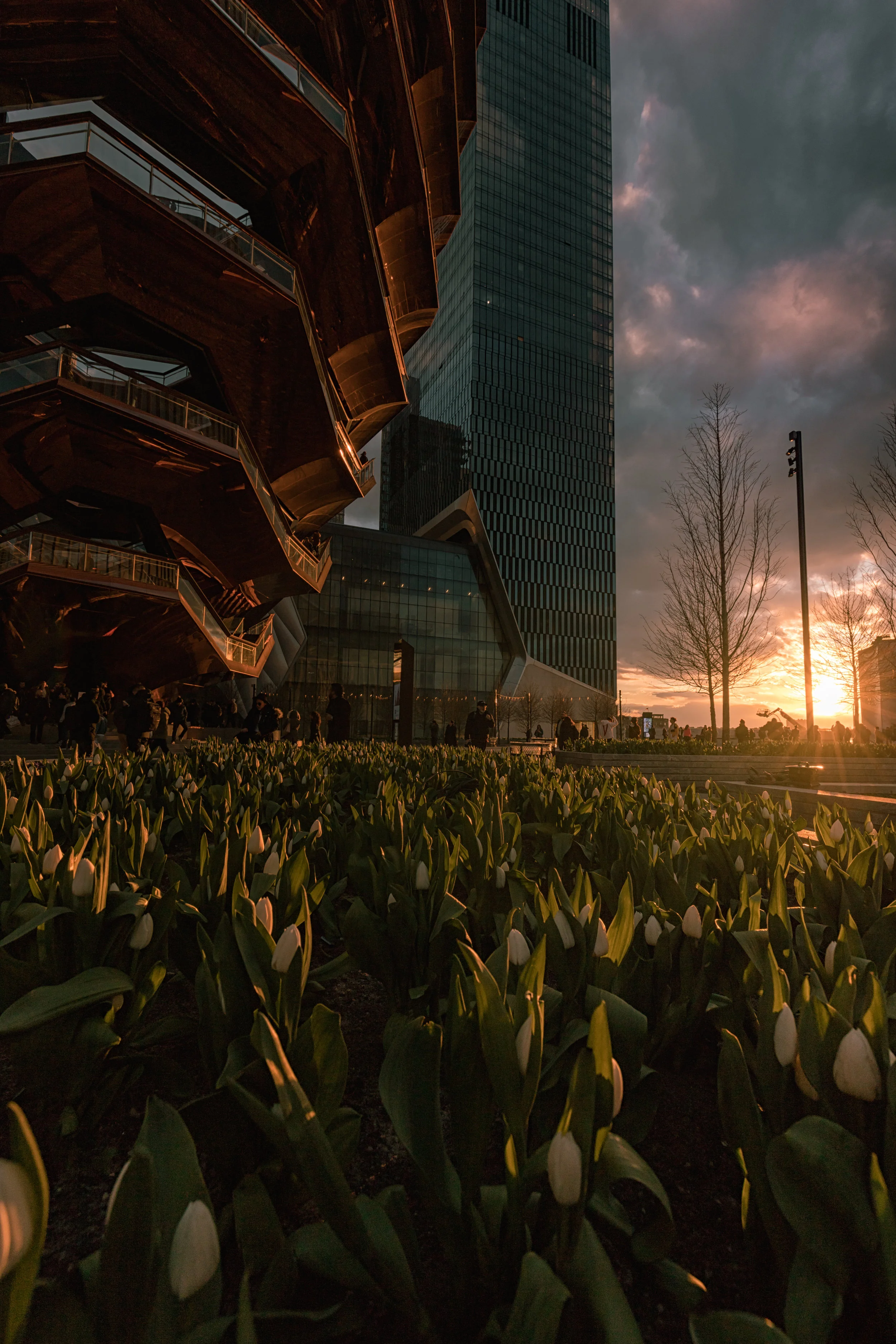 _MG_5377.jpg