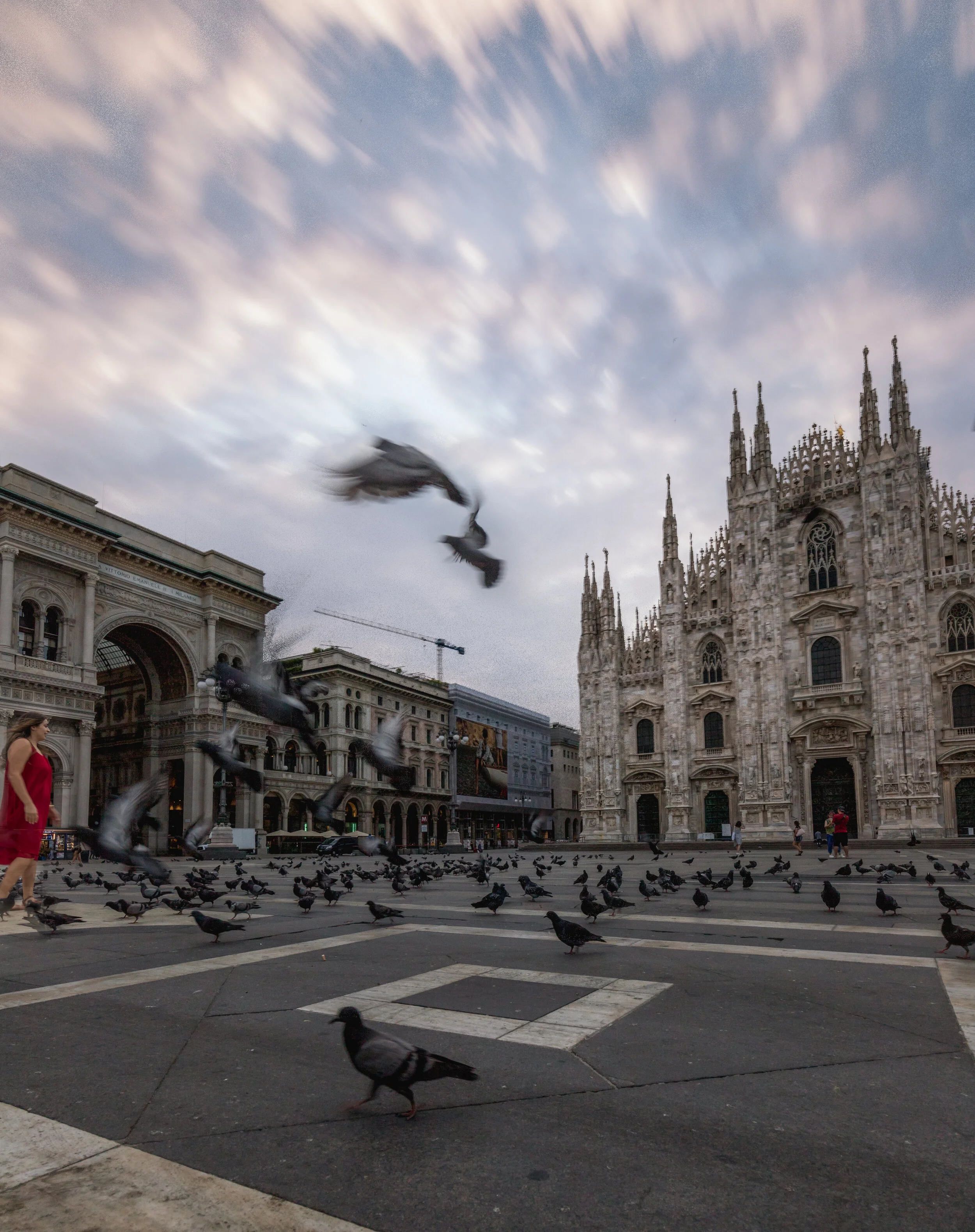 Pigeons at Duomo di Milano